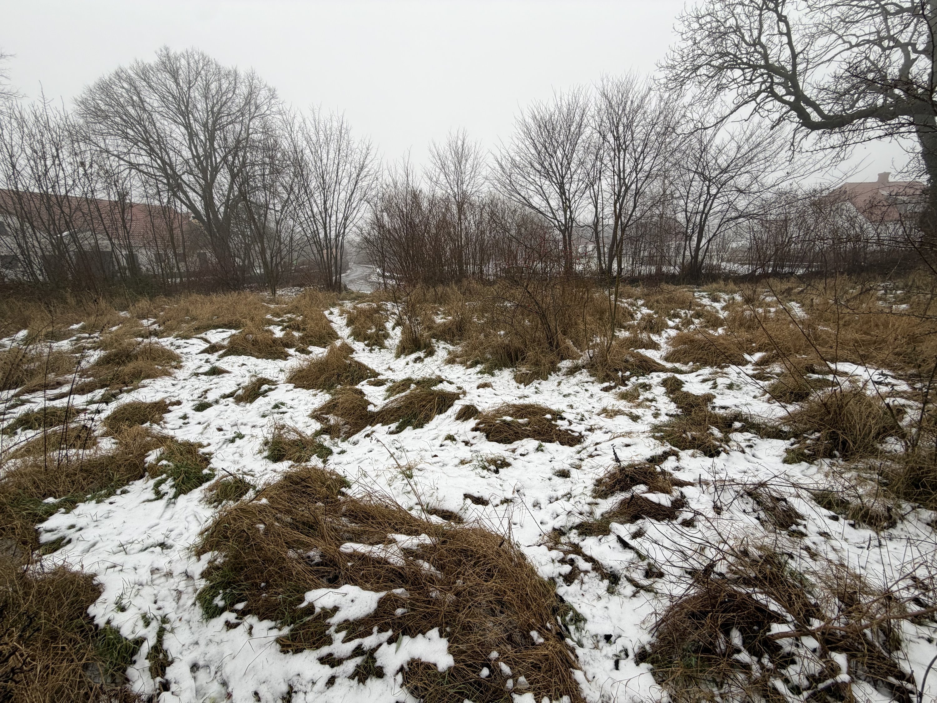 Fremhævet  billede i fuldskærmstilstand. Billede af Tværgade 2, 4244 Agersø