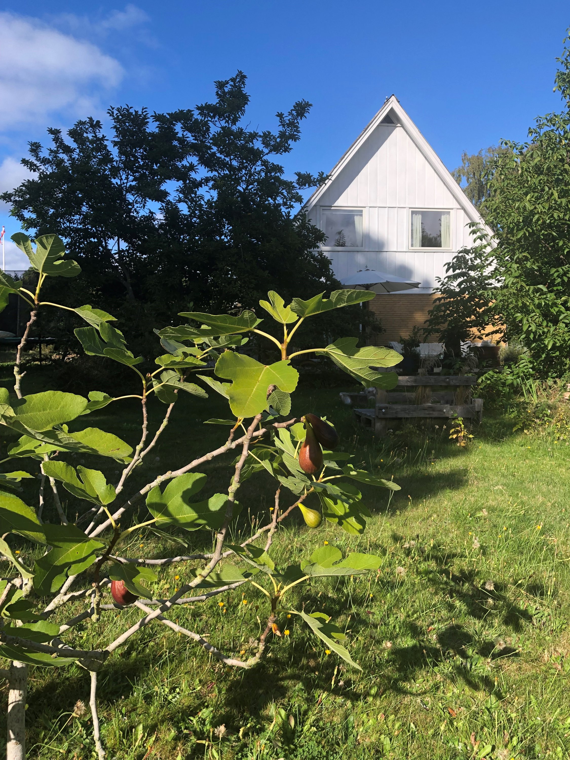 Fremhævet  billede i fuldskærmstilstand. Billede af Sct Georgs Vej 5, 4500 Nykøbing Sj