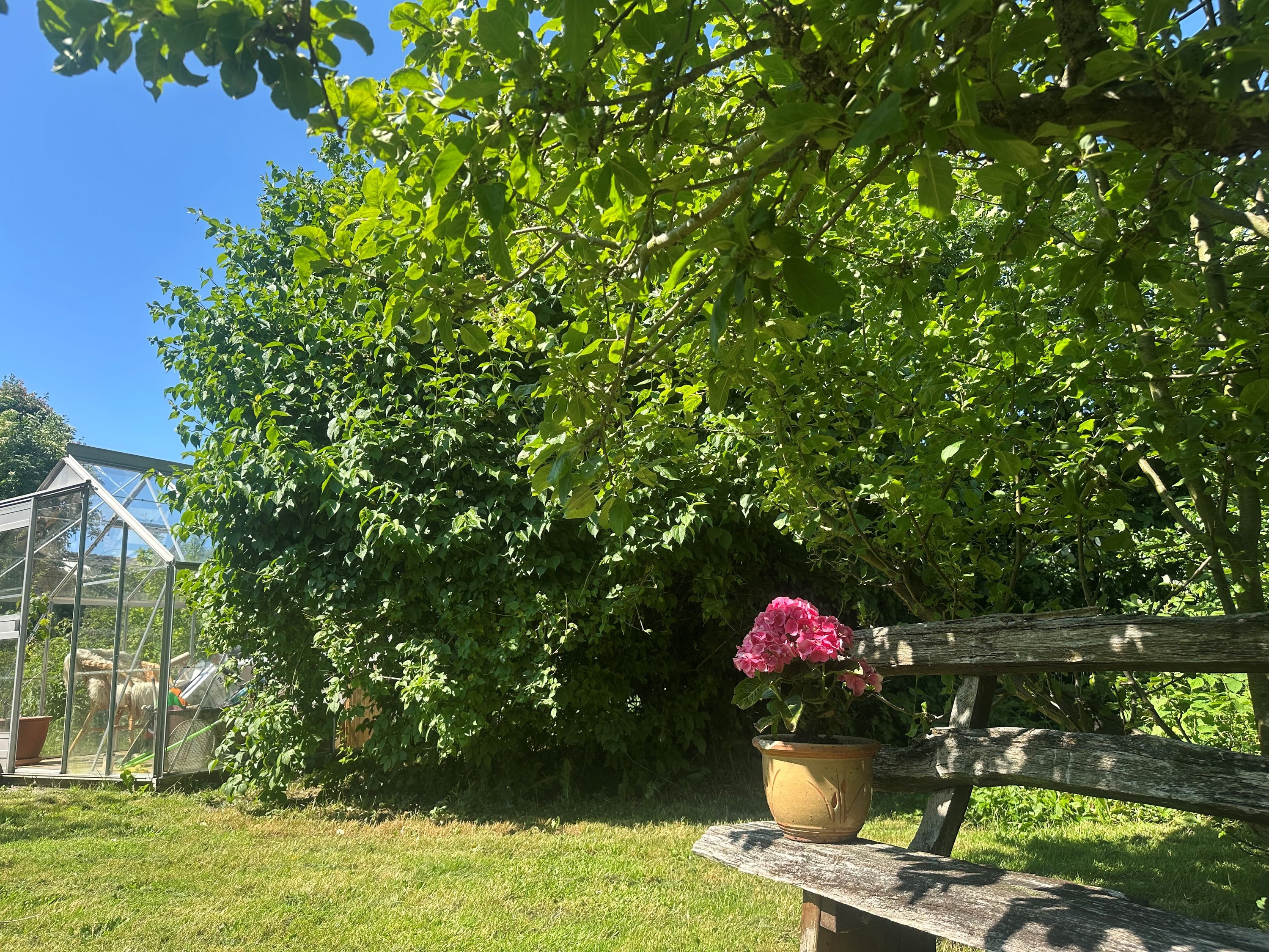 Fremhævet  billede i fuldskærmstilstand. Billede af Sct Georgs Vej 5, 4500 Nykøbing Sj