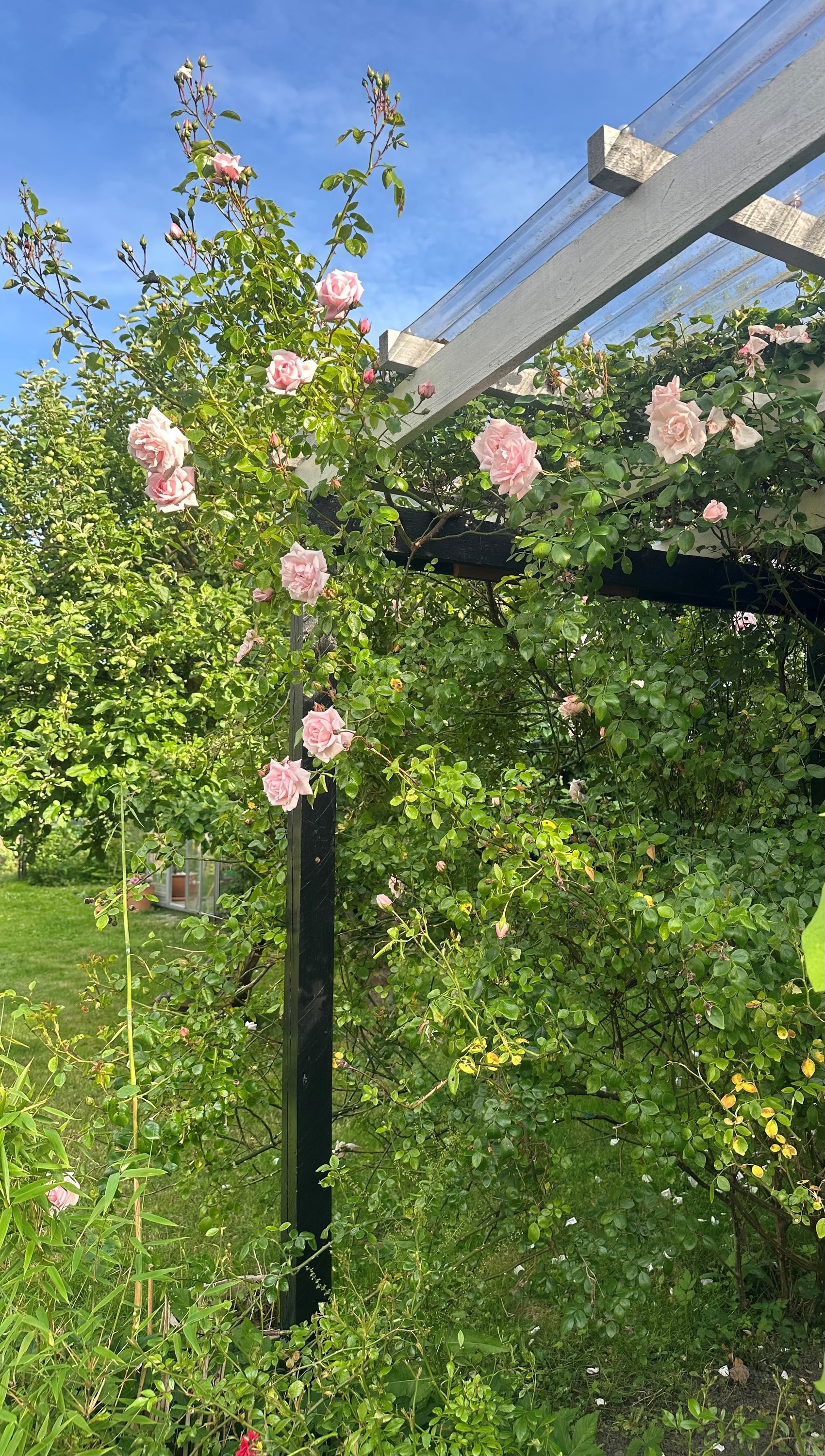 Fremhævet  billede i fuldskærmstilstand. Billede af Sct Georgs Vej 5, 4500 Nykøbing Sj