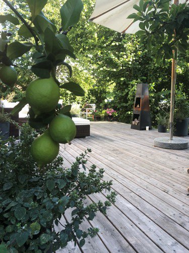 Fremhævet  billede i fuldskærmstilstand. Billede af Sct Georgs Vej 5, 4500 Nykøbing Sj