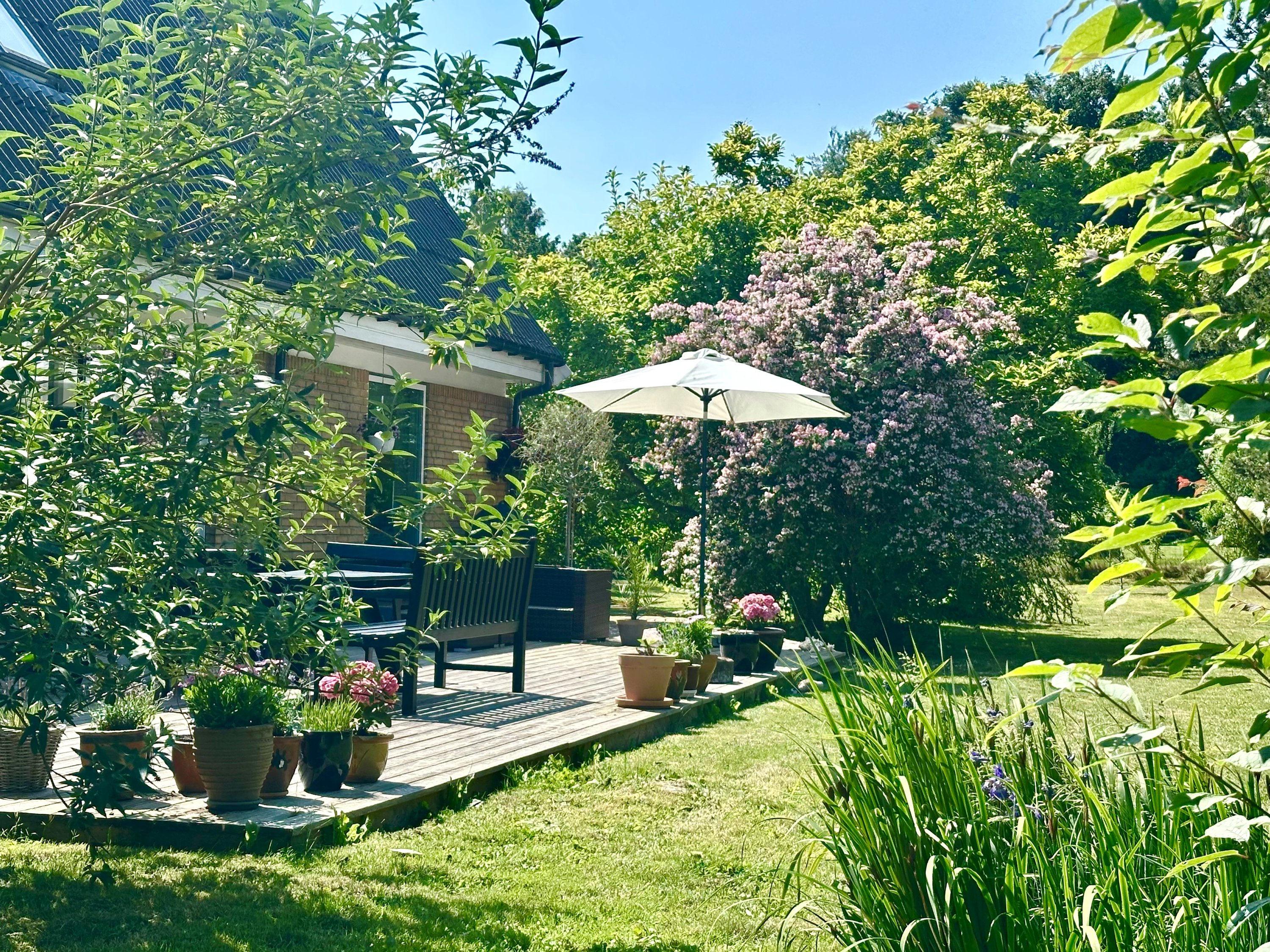 Villa: Terrasse på Sct Georgs Vej 5, 4500 Nykøbing Sj