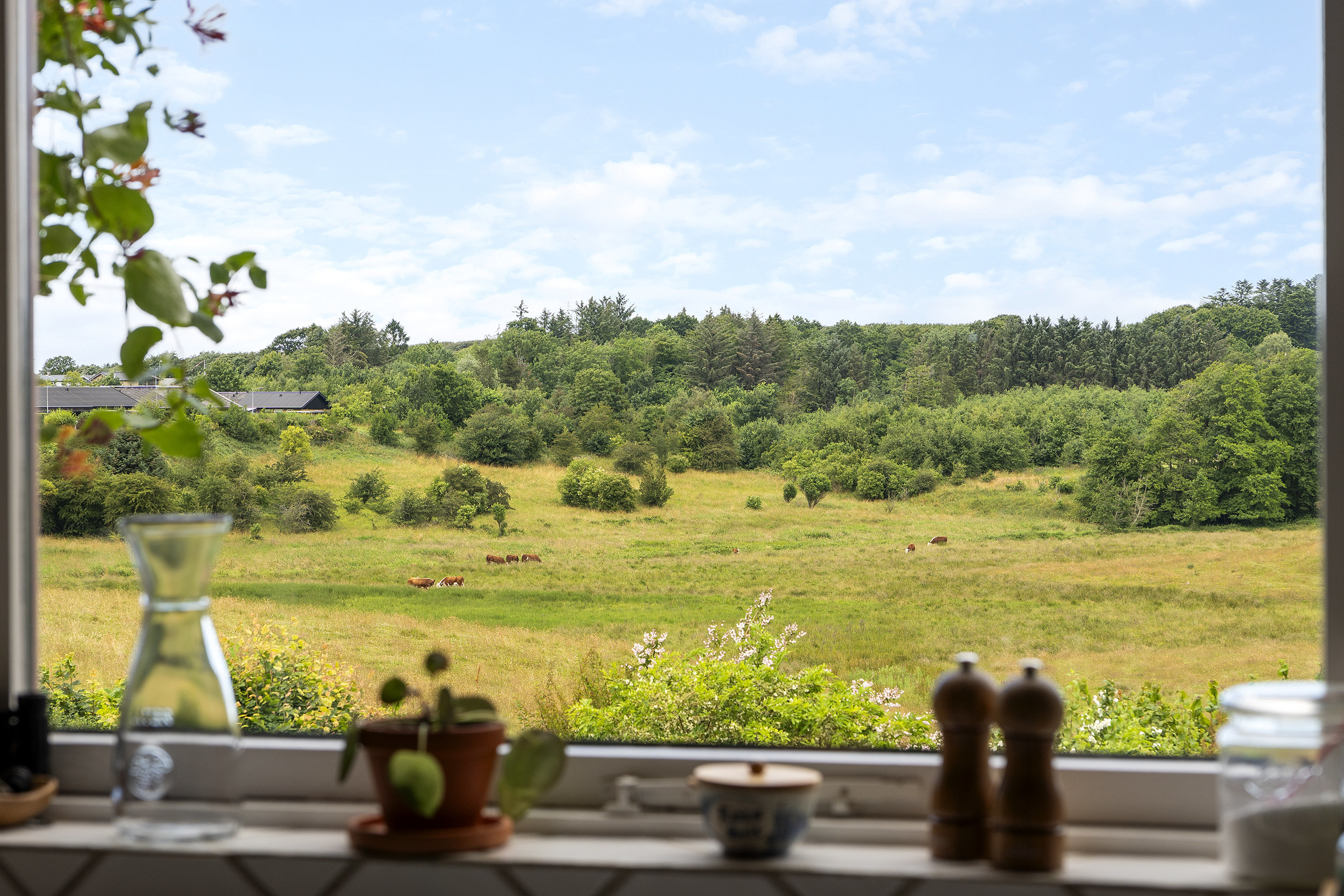 Fremhævet udsigt billede i fuldskærmstilstand. Billede af Toplærkevej 9, 9800 Hjørring