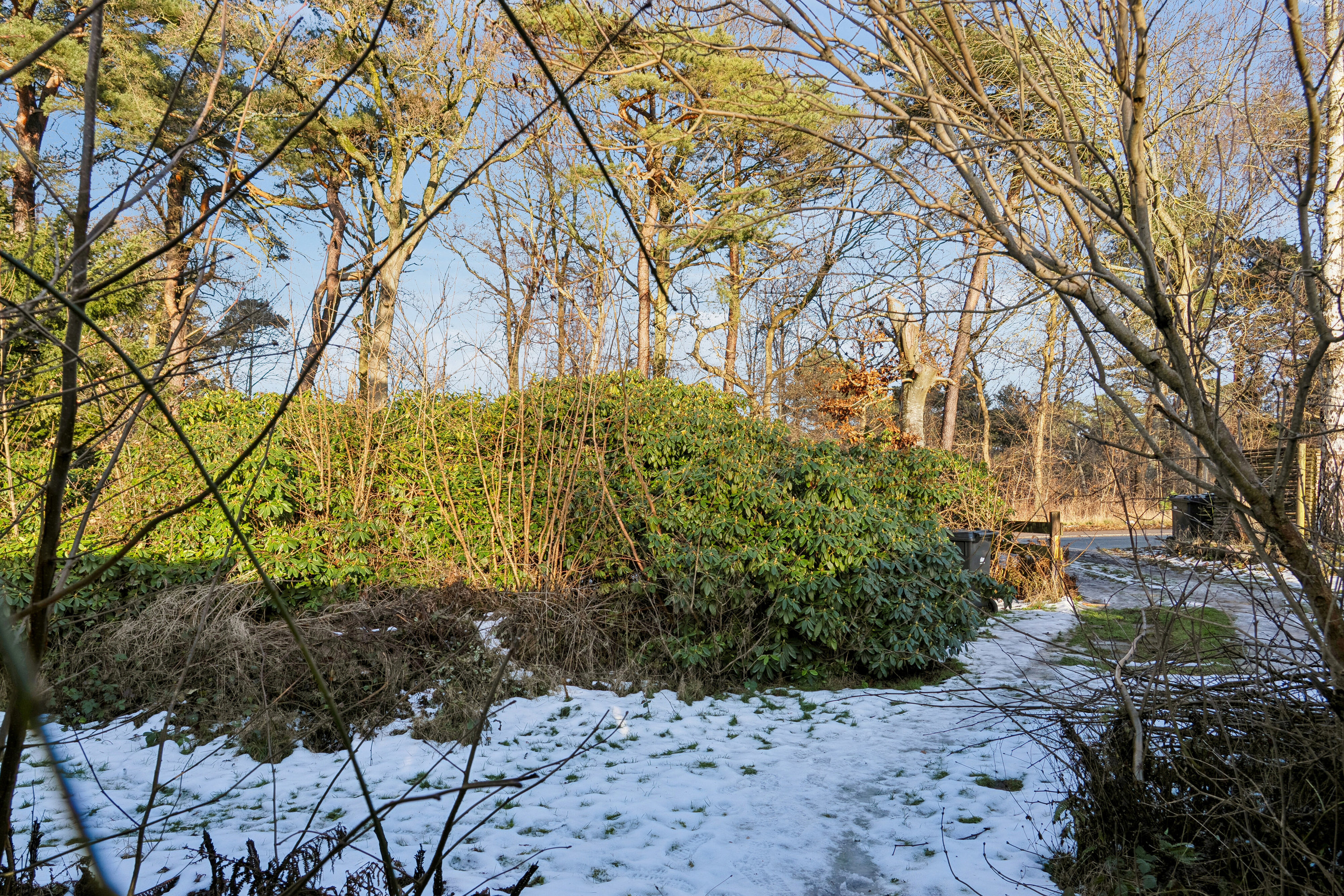 Miniaturebillede 1: udendørs. Billede af Nordre Strandvej 479, 3100 Hornbæk