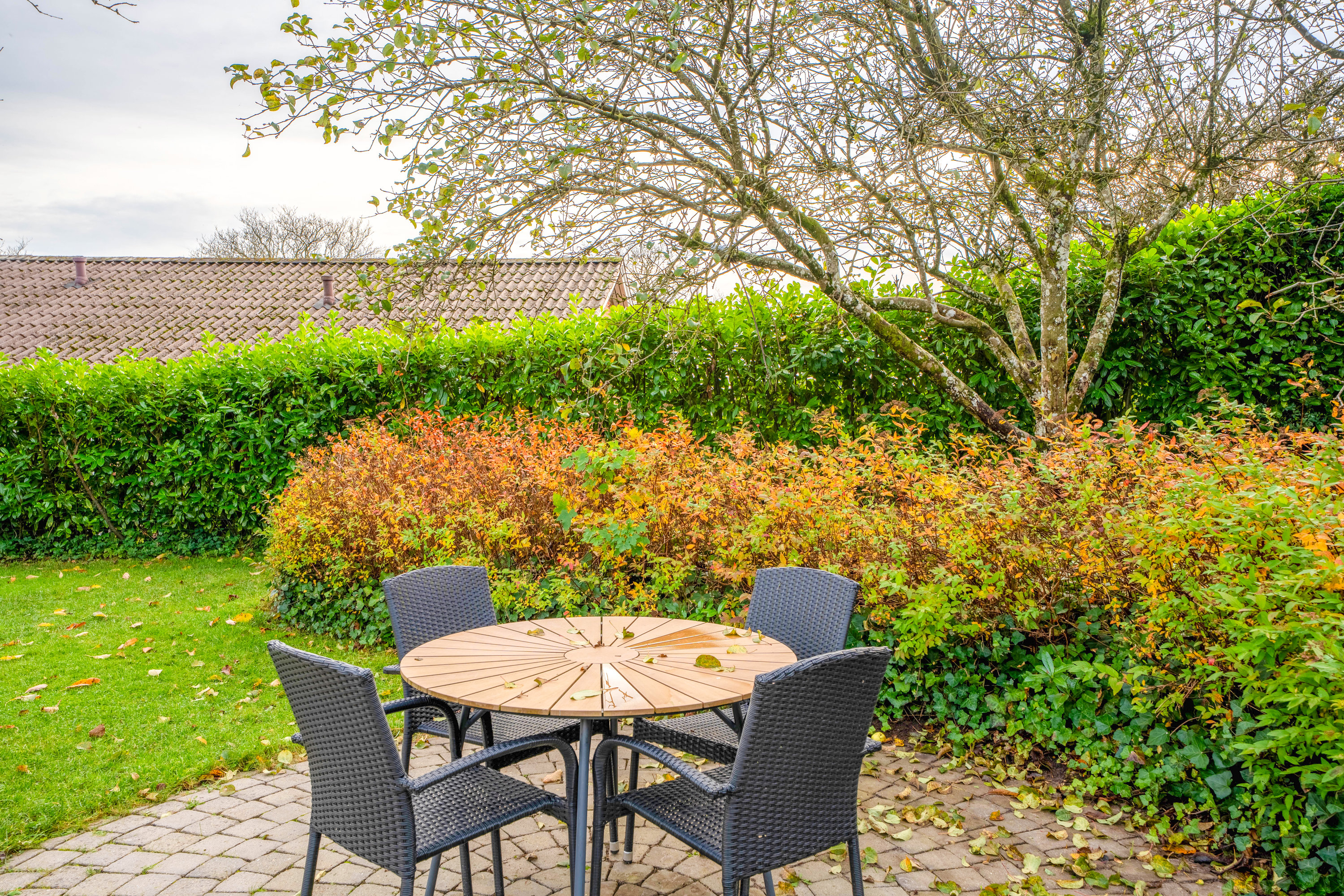 Fremhævet  billede i fuldskærmstilstand. Billede af Lyngvej 11, 5560 Aarup