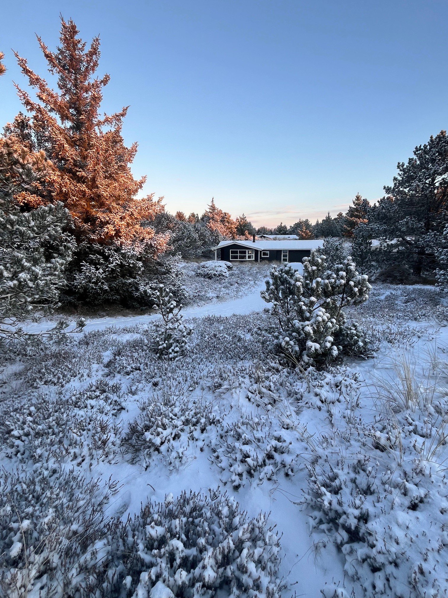 Fritidshus på Søren Gades Mark 13A, 6857 Blåvand