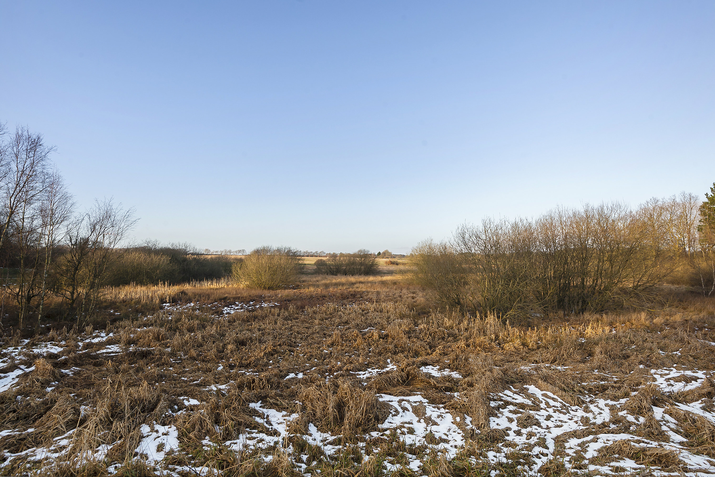 Miniaturebillede 1: udsigten. Billede af Kvievej 4, 6823 Ansager