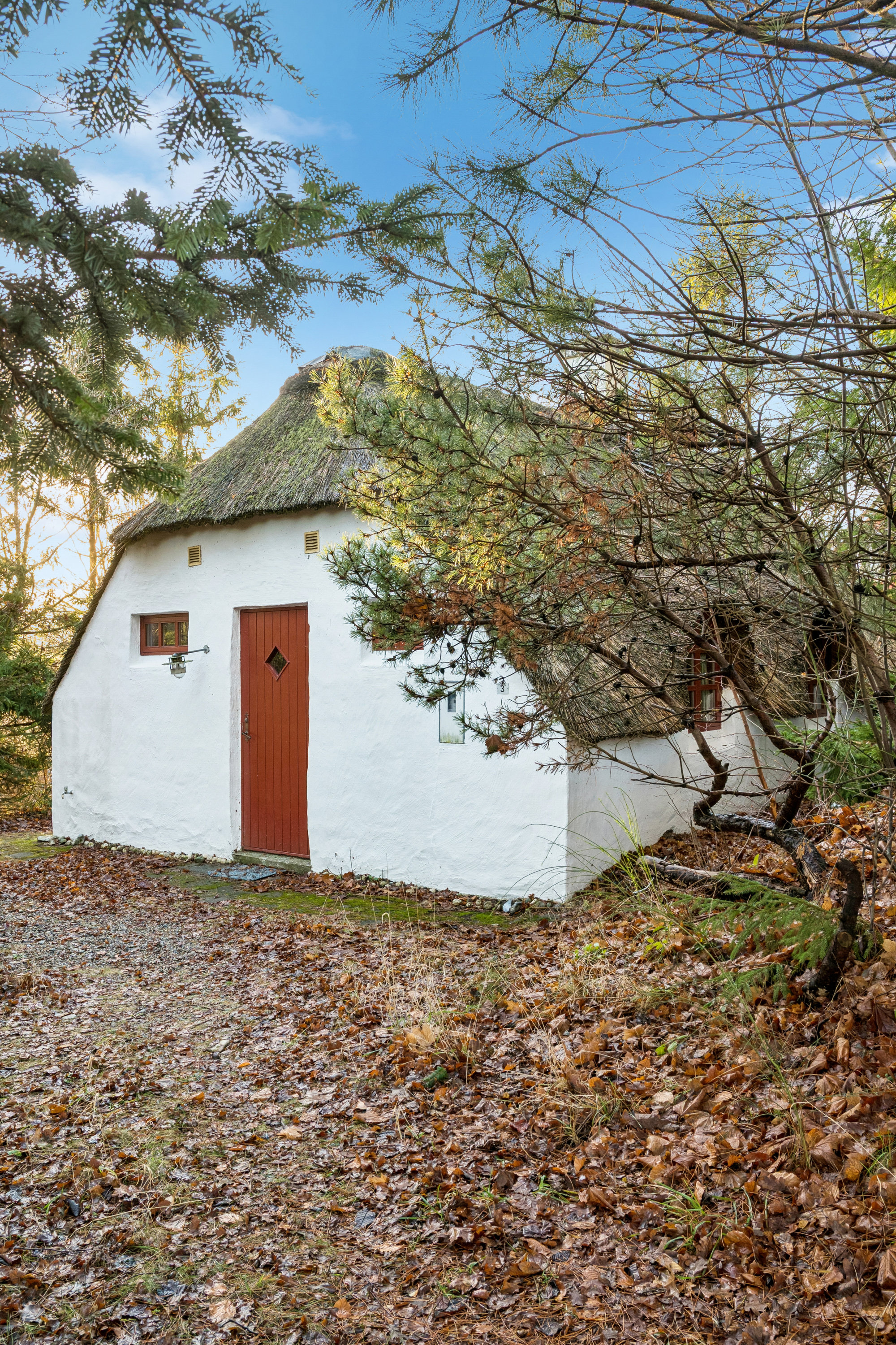 Fremhævet andet billede i fuldskærmstilstand. Billede af Silkehalevej 3, Skelhøje Plantage, 8400 Ebeltoft