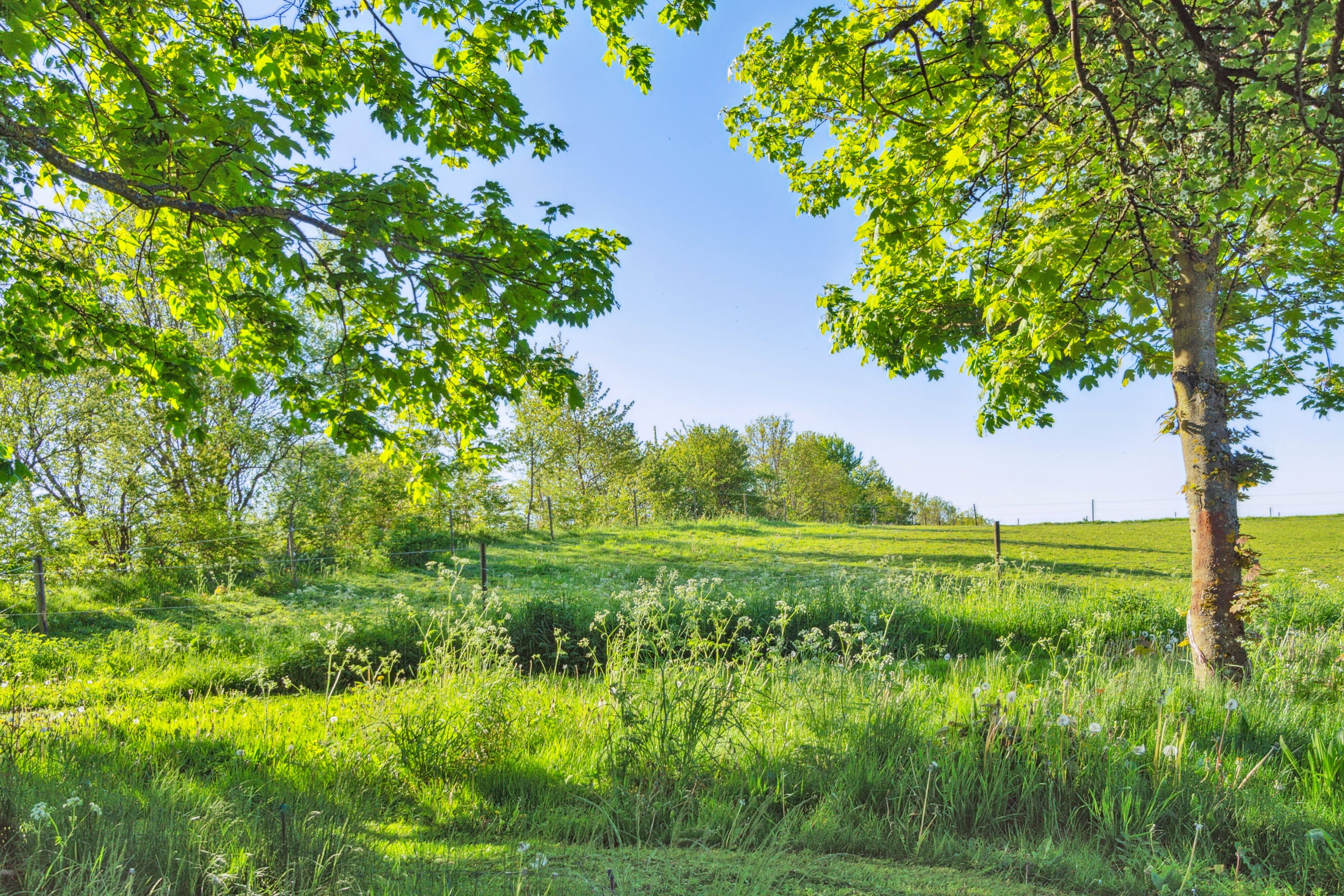 Fremhævet have billede i fuldskærmstilstand. Billede af Skåde Søpark 17, Skåde, 8270 Højbjerg