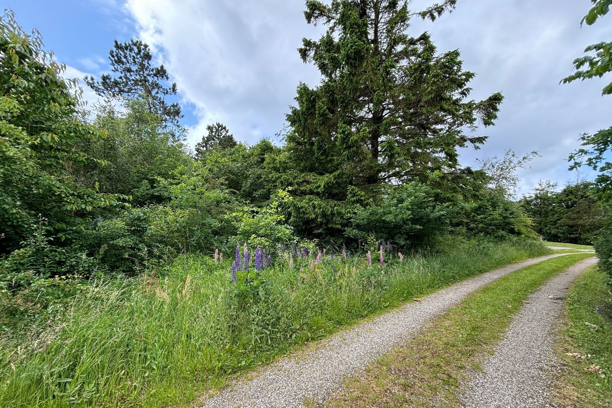 Fritidsgrund på Marthasvej 4, Trend, 9670 Løgstør