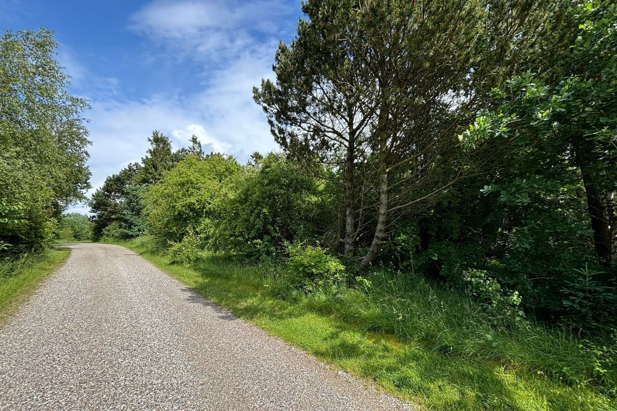 Fremhævet  billede i fuldskærmstilstand. Billede af Marthasvej 4, Trend, 9670 Løgstør