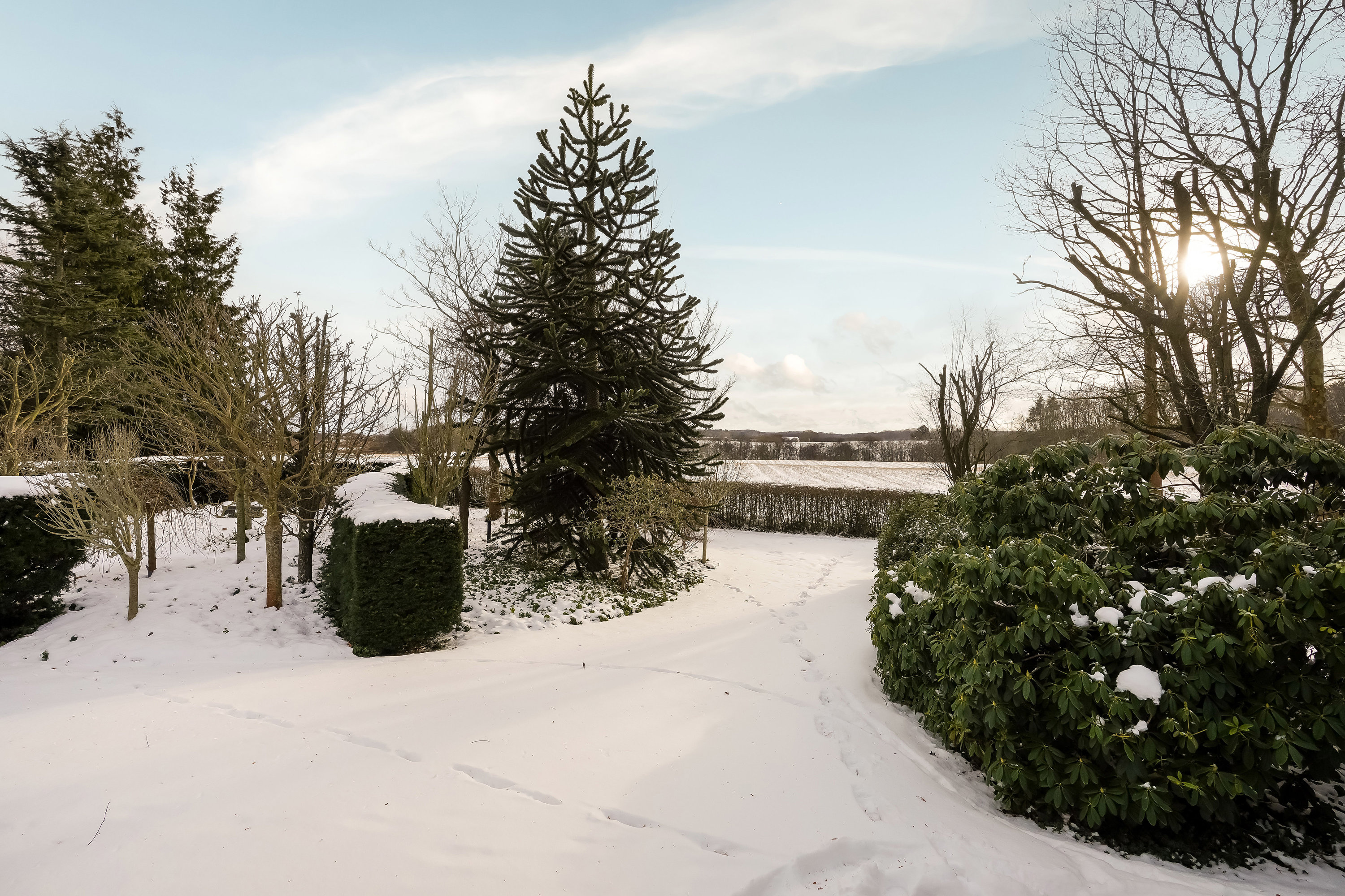 Villa: Have på Hårevej 65, Håre, 5591 Gelsted