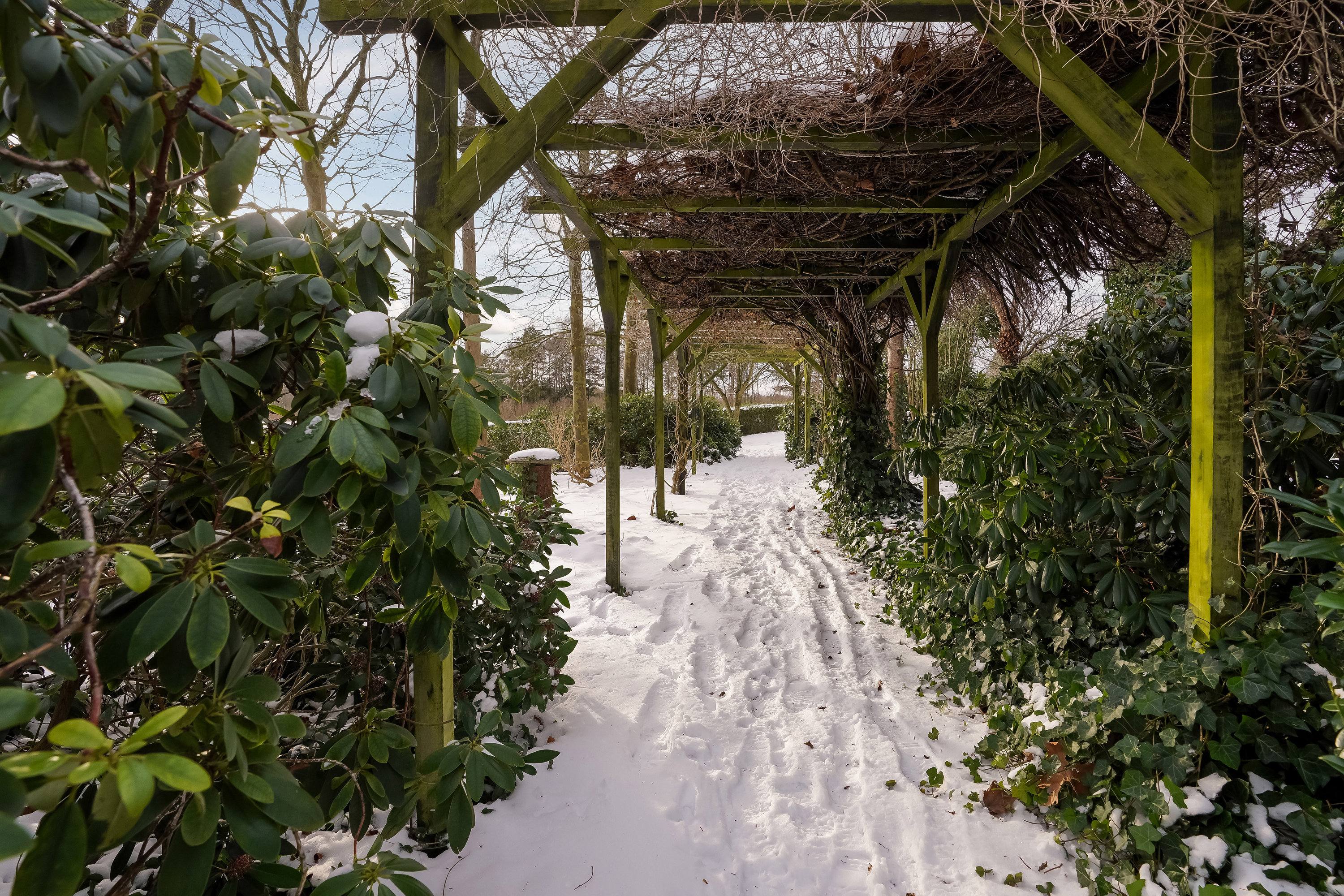 Fremhævet have billede i fuldskærmstilstand. Billede af Hårevej 65, Håre, 5591 Gelsted