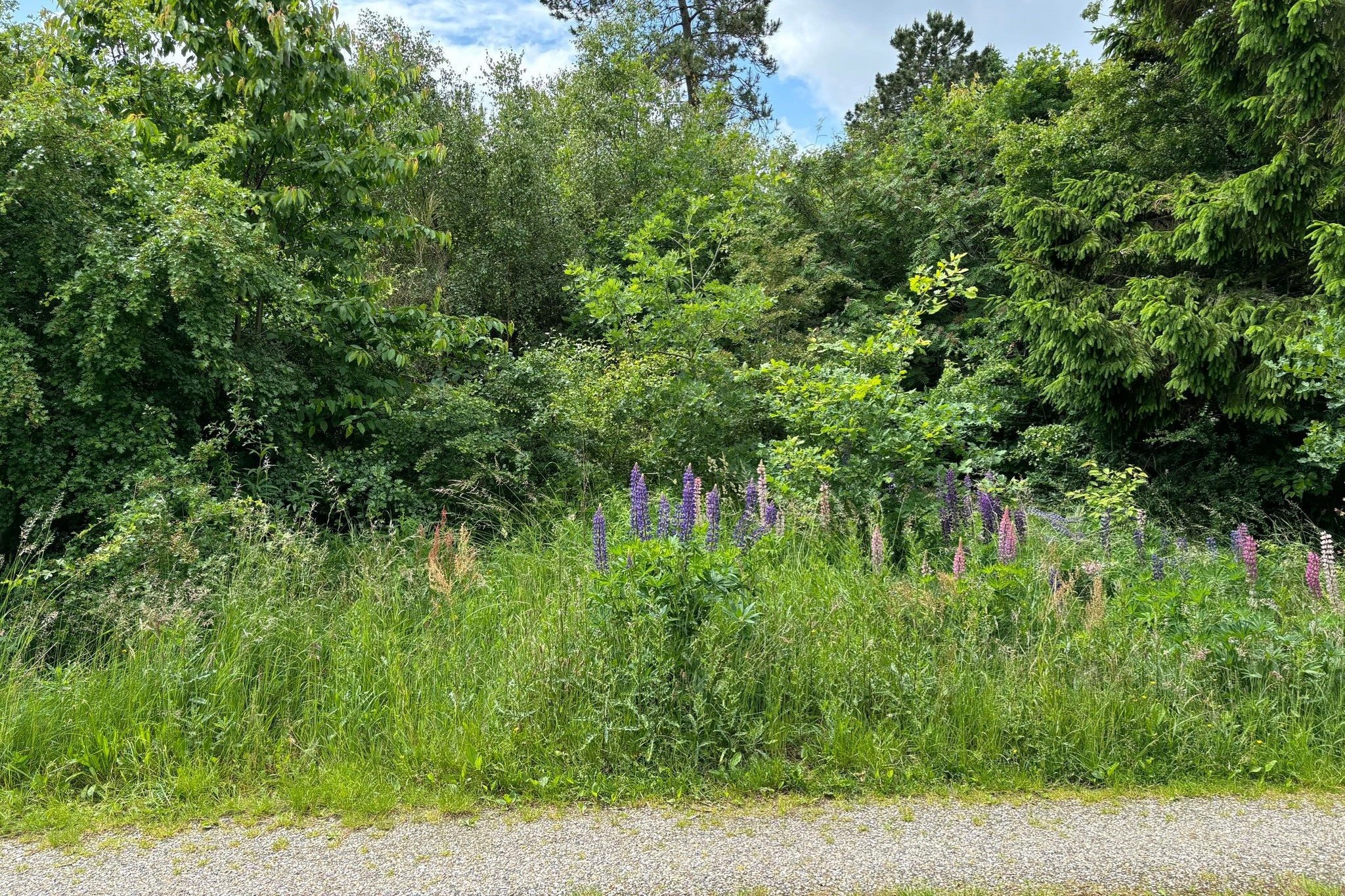 Fremhævet  billede i fuldskærmstilstand. Billede af Marthasvej 6, Trend, 9670 Løgstør