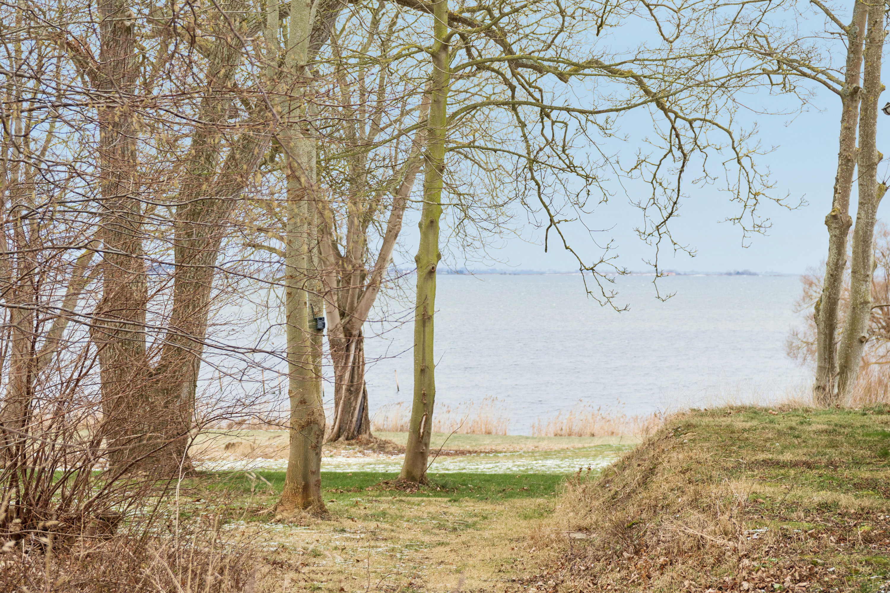 Fremhævet udendørs billede i fuldskærmstilstand. Billede af Strandhuse 44, 5600 Faaborg