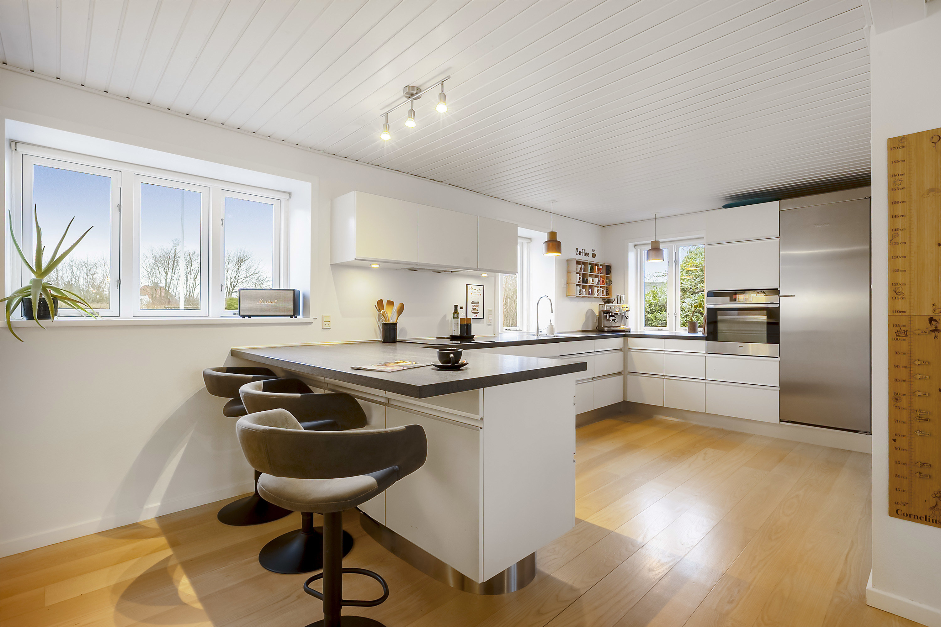 Fremhævet køkken billede i fuldskærmstilstand. Billede af Hærvejen 90, 6230 Rødekro