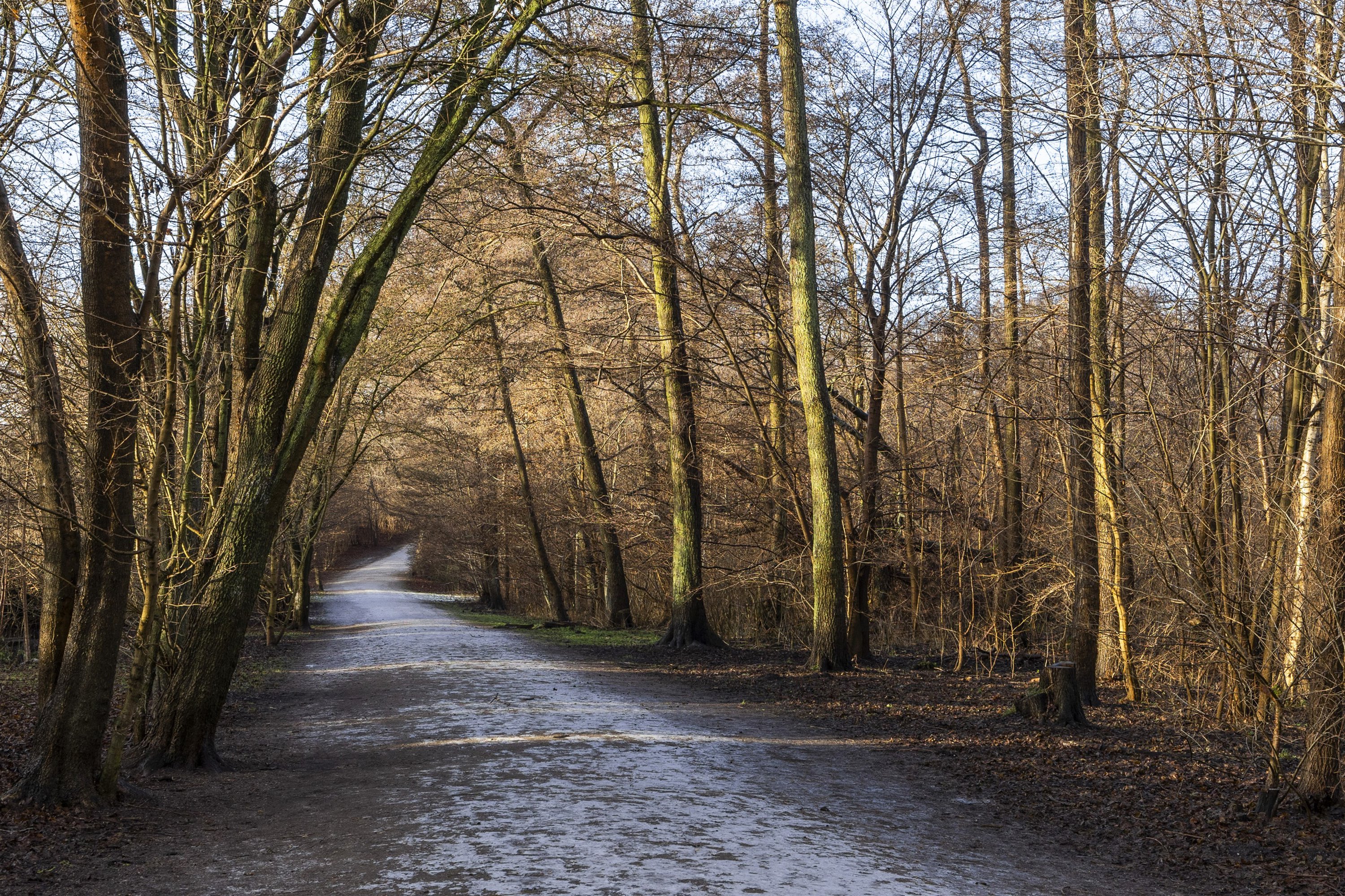 Fremhævet andet billede i fuldskærmstilstand. Billede af Parkovsvej 57B, 2820 Gentofte