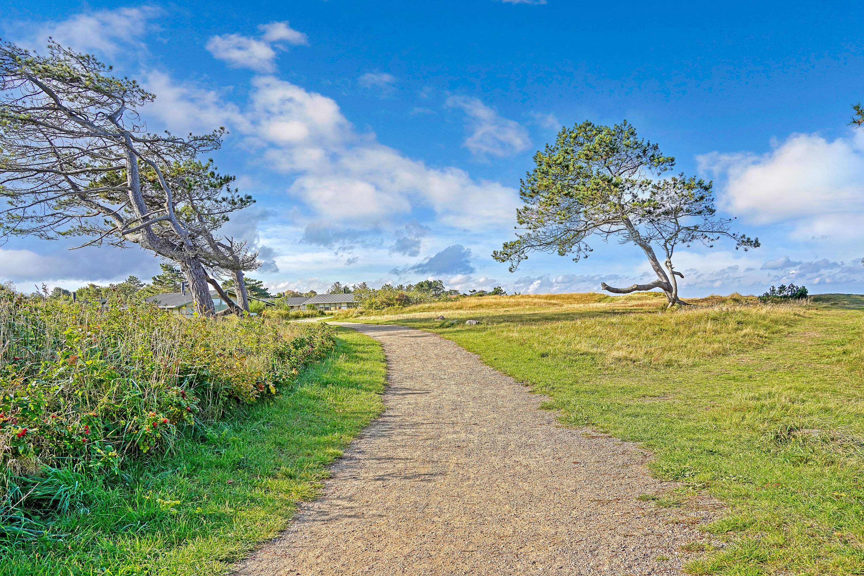 Fremhævet område billede i fuldskærmstilstand. Billede af Feriebyen 20, 3250 Gilleleje
