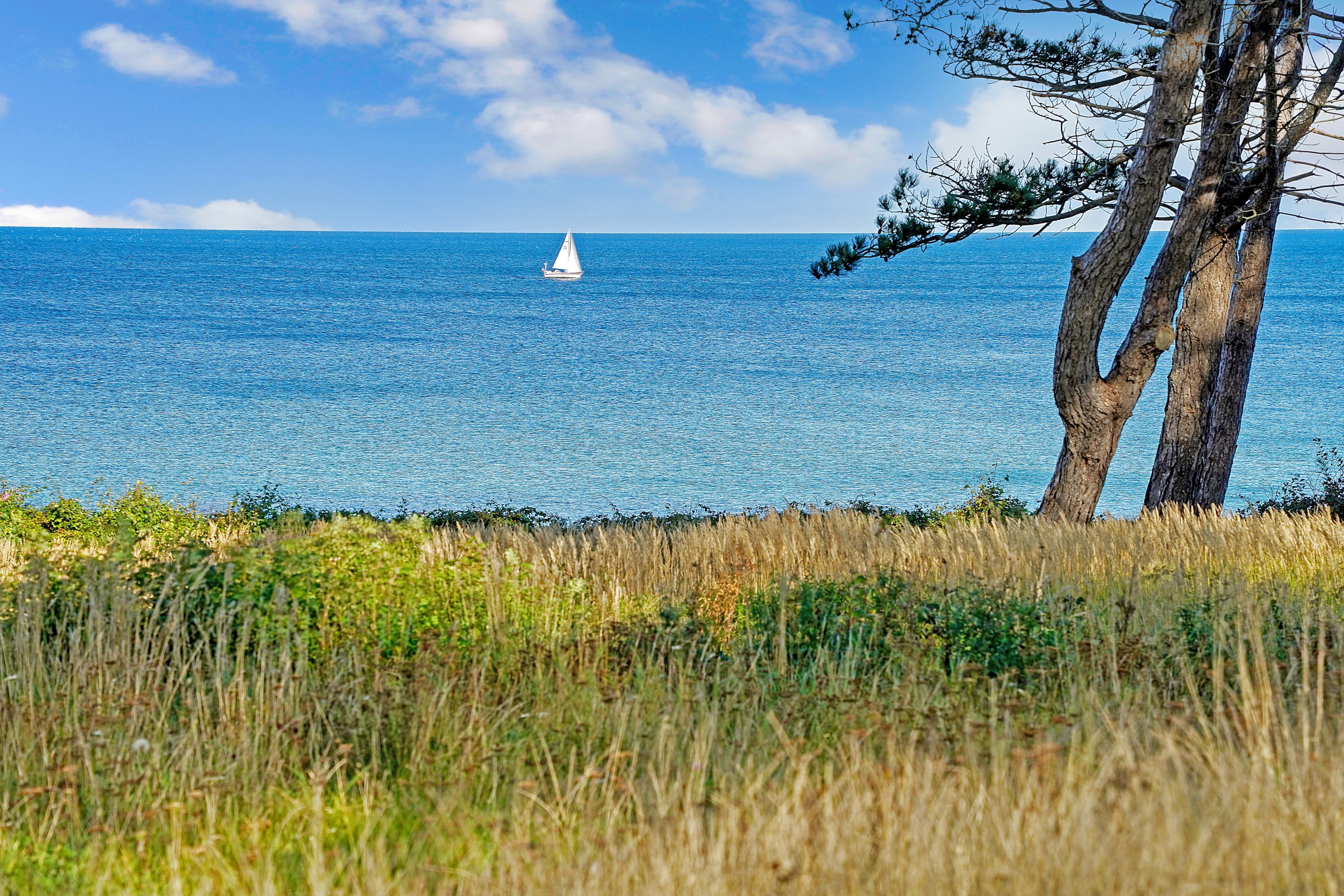 Fremhævet område billede i fuldskærmstilstand. Billede af Feriebyen 20, 3250 Gilleleje