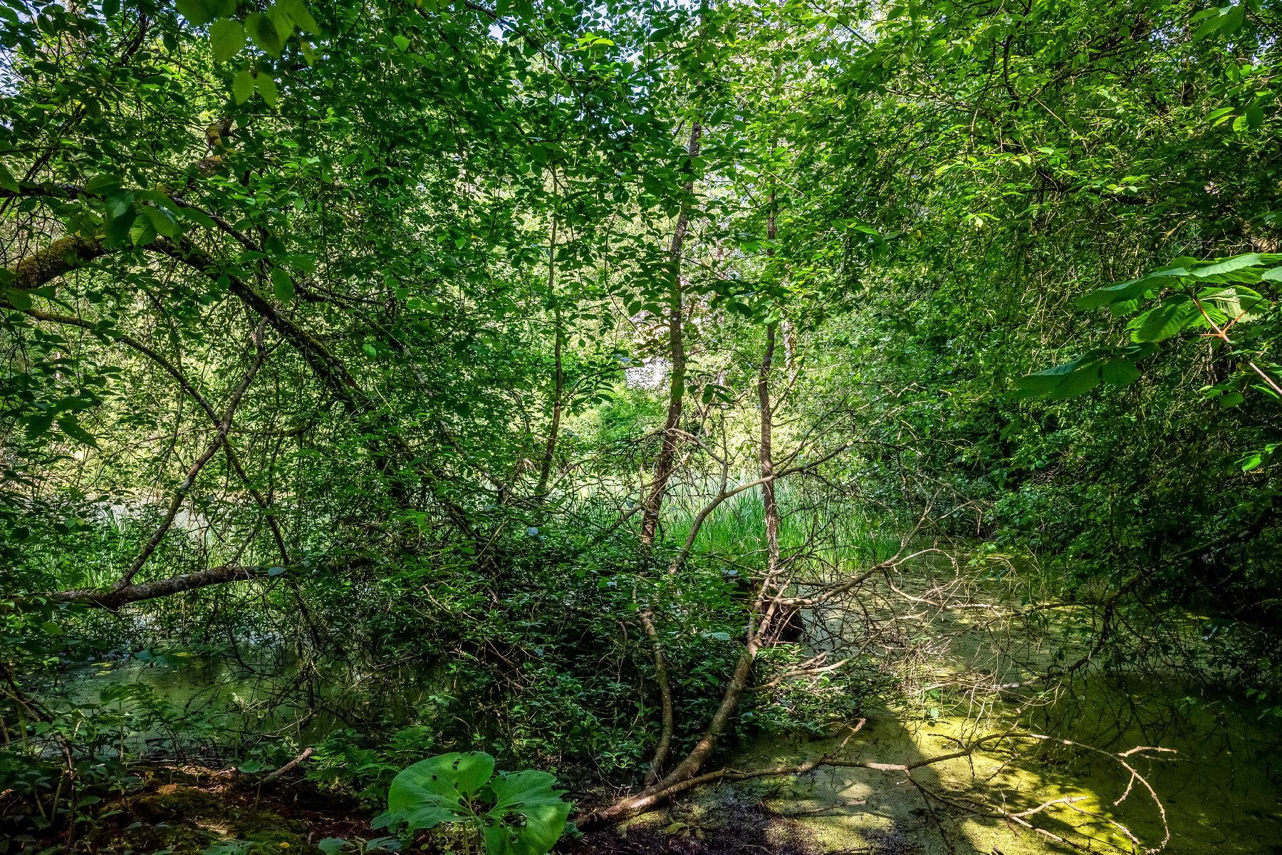Fremhævet  billede i fuldskærmstilstand. Billede af Skjernvej 87, 7500 Holstebro