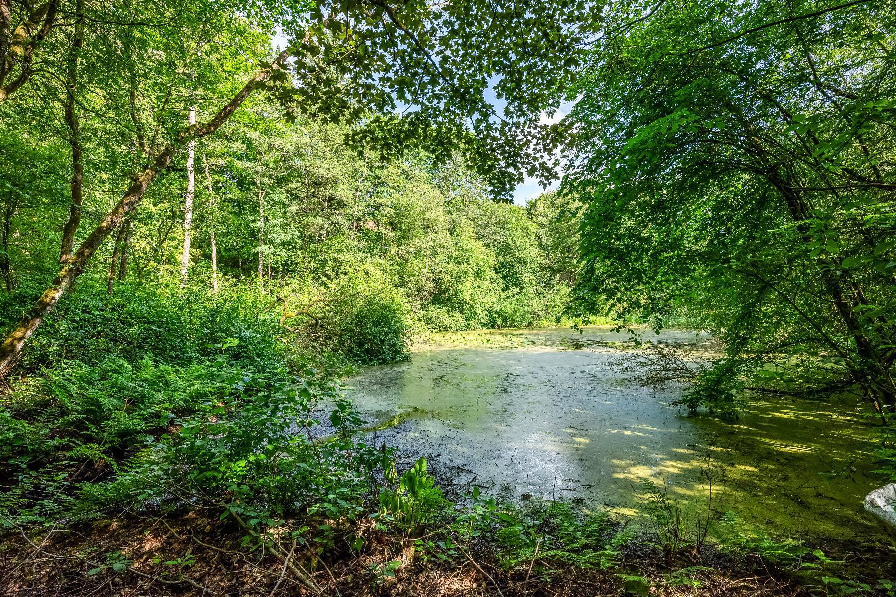 Fremhævet  billede i fuldskærmstilstand. Billede af Skjernvej 87, 7500 Holstebro