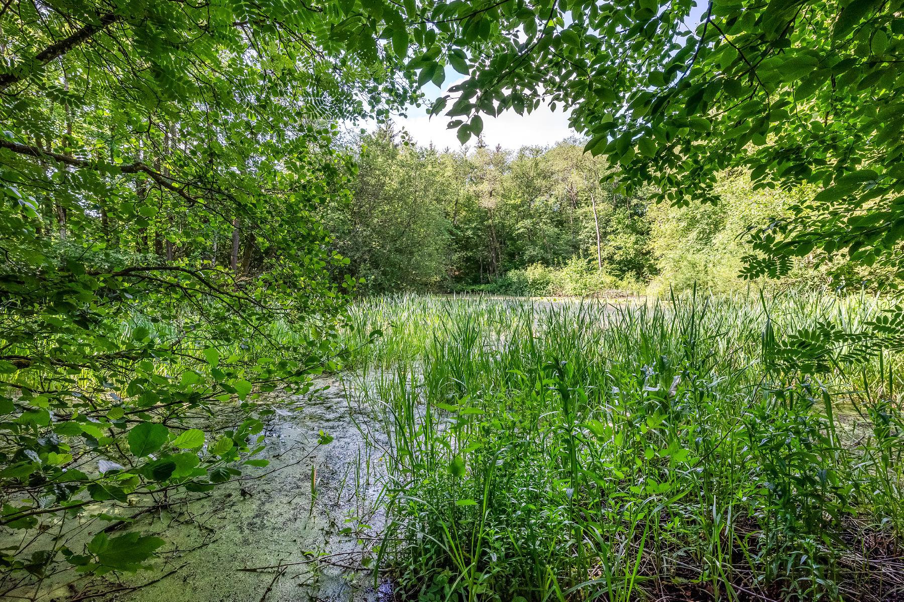 Fremhævet  billede i fuldskærmstilstand. Billede af Skjernvej 87, 7500 Holstebro