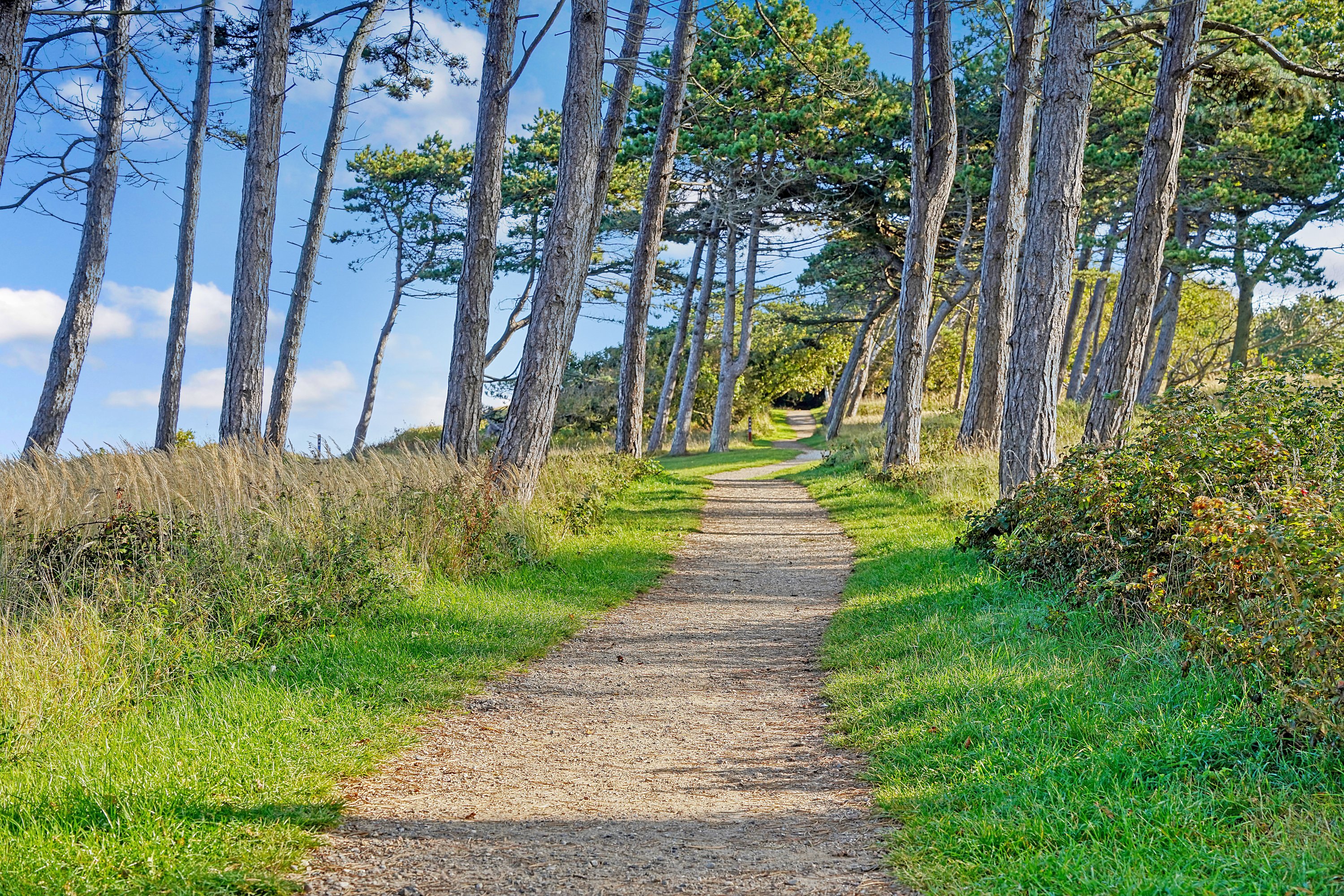 Fremhævet område billede i fuldskærmstilstand. Billede af Feriebyen 26, 3250 Gilleleje