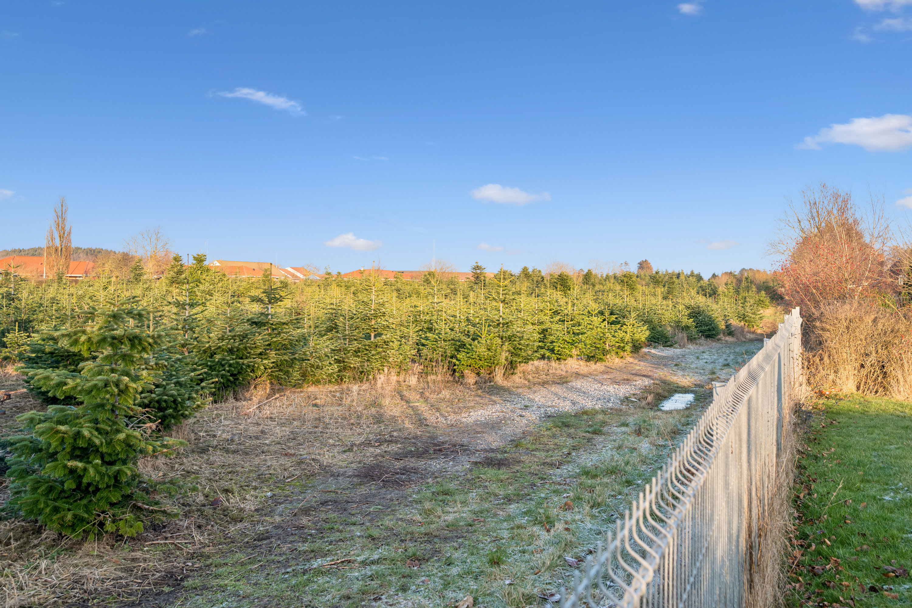 Fremhævet andet billede i fuldskærmstilstand. Billede af Strandvangsvej 21, 8250 Egå