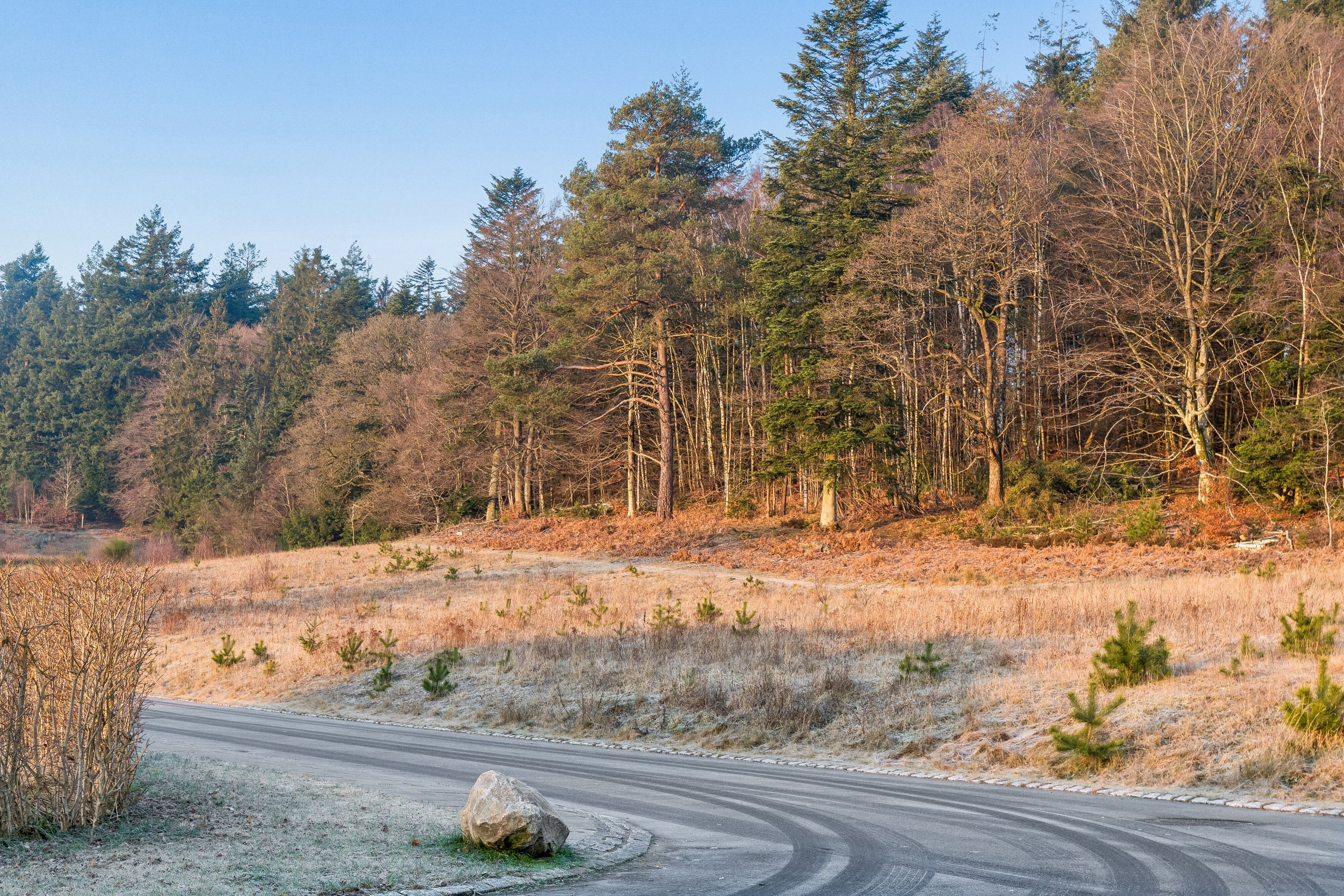 Fremhævet udendørs billede i fuldskærmstilstand. Billede af Hjortespringet 19, 8600 Silkeborg