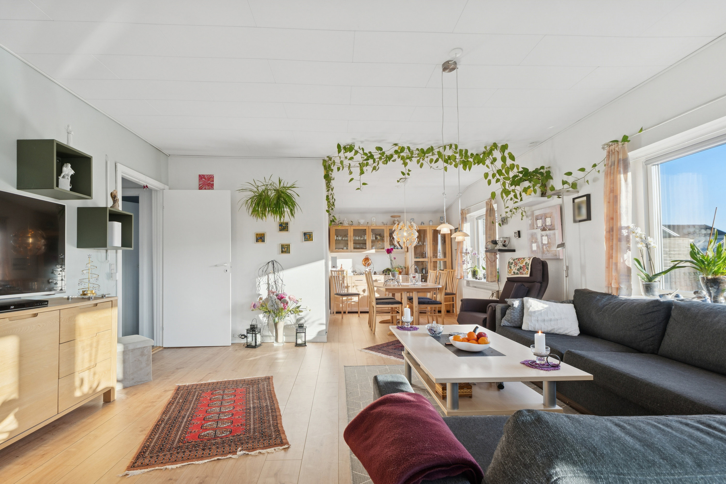 Fremhævet stue billede i fuldskærmstilstand. Billede af Tværvej 5, 3300 Frederiksværk