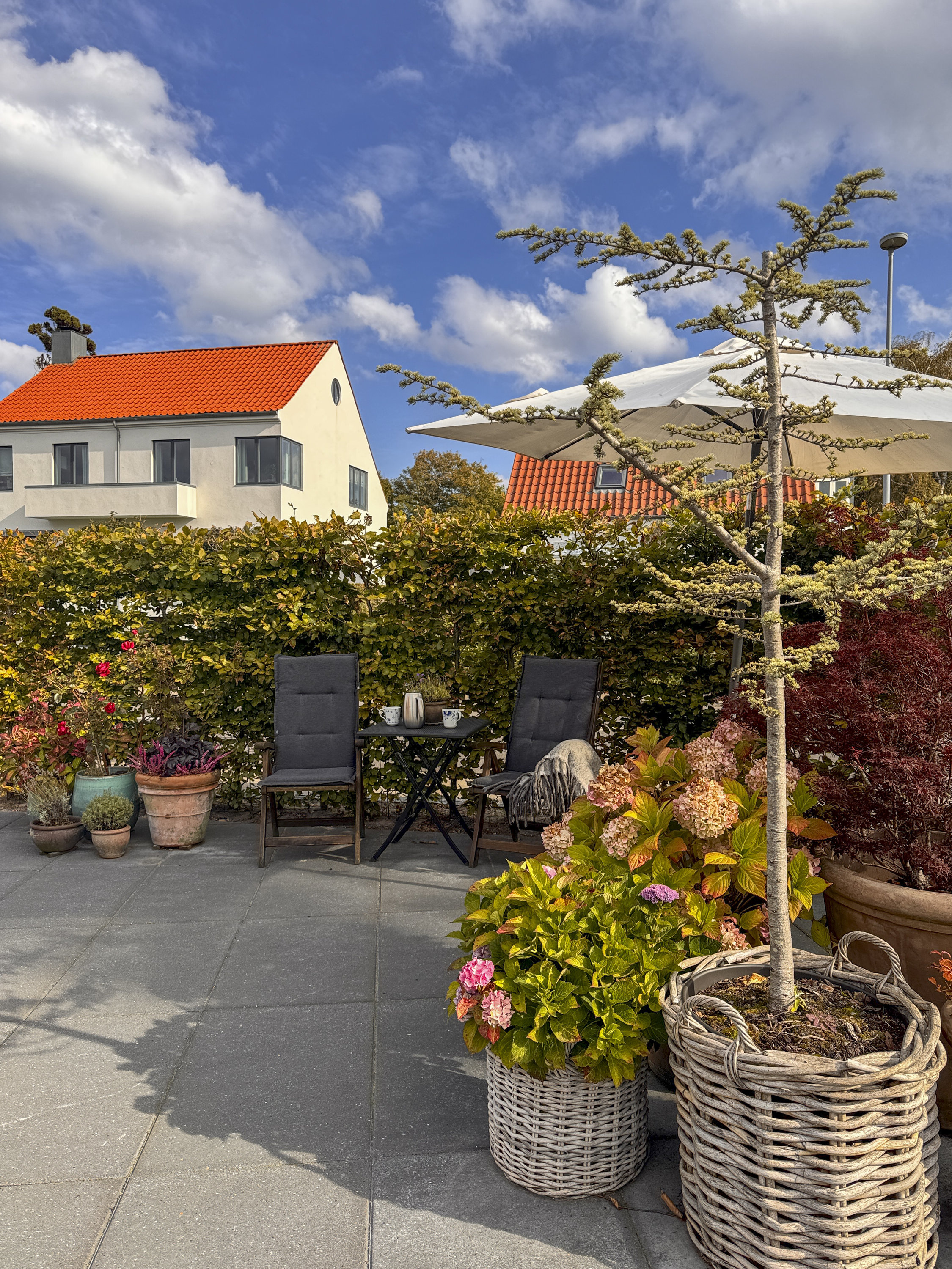 Fremhævet  billede i fuldskærmstilstand. Billede af Nordvestvej 21, st.., 9000 Aalborg