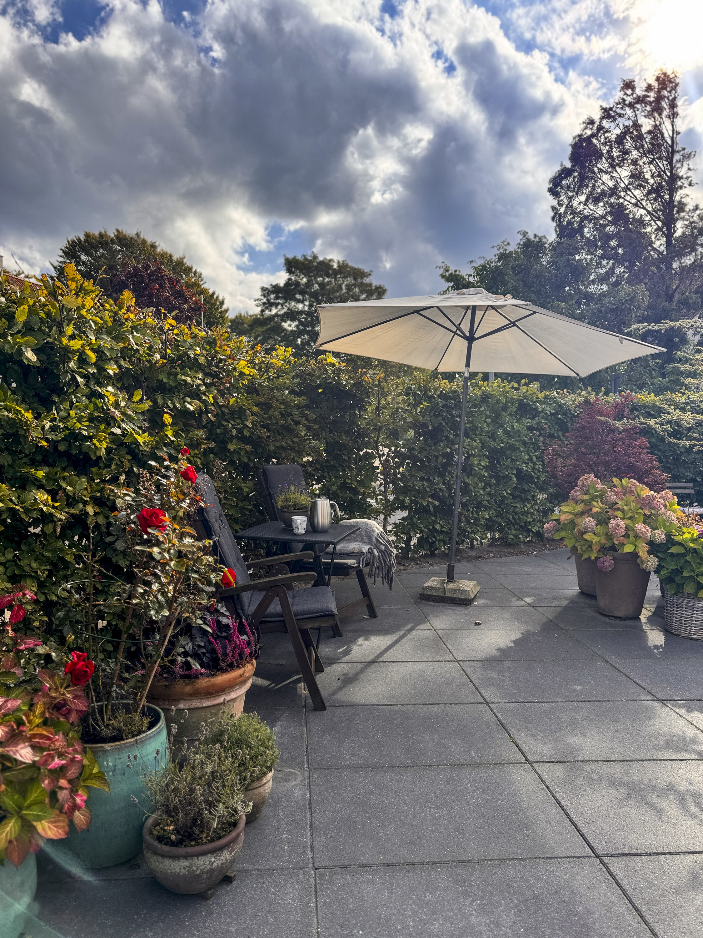 Fremhævet  billede i fuldskærmstilstand. Billede af Nordvestvej 21, st.., 9000 Aalborg