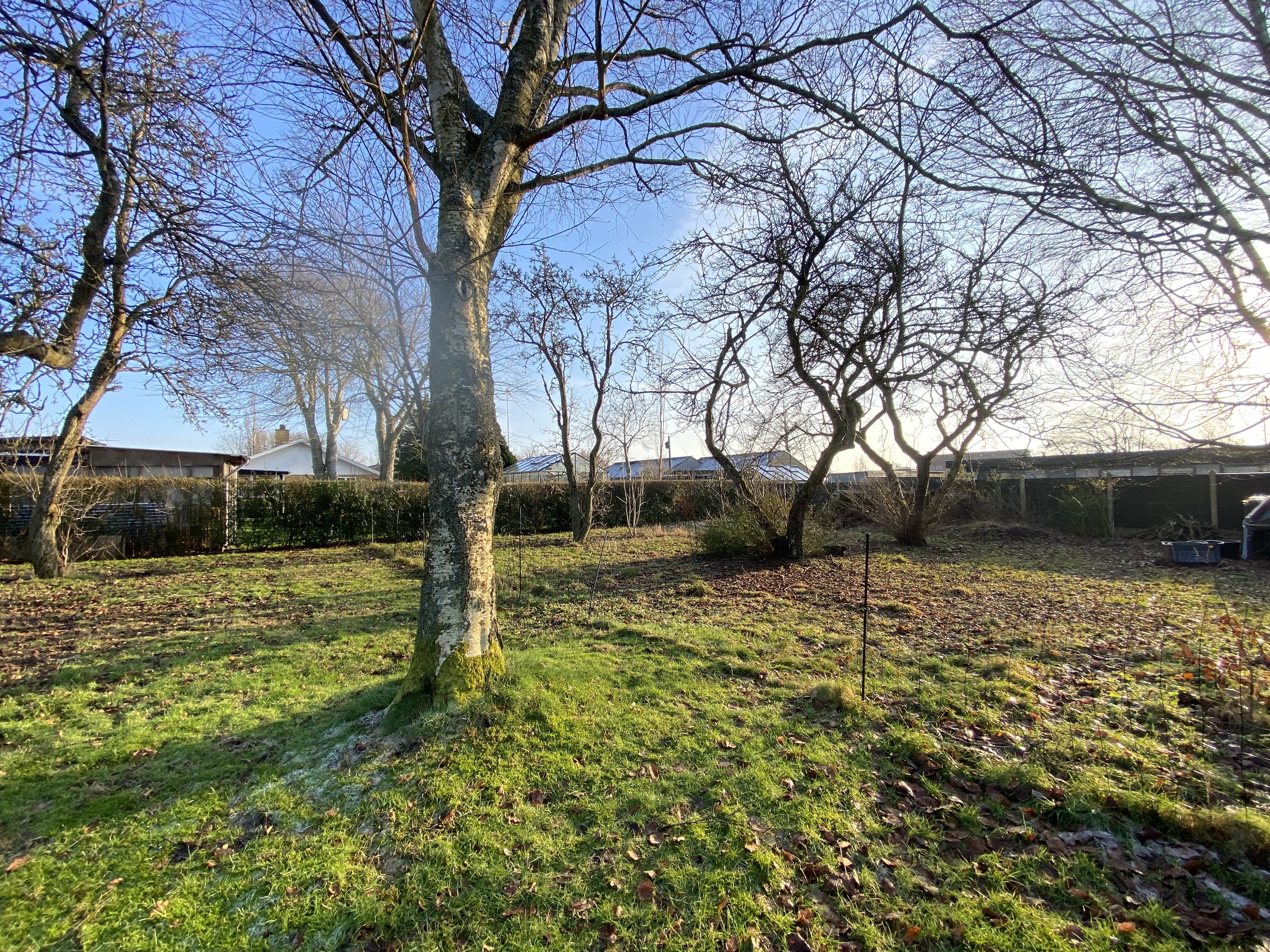 Bøgevej 28, Rindum, 6950 Ringkøbing