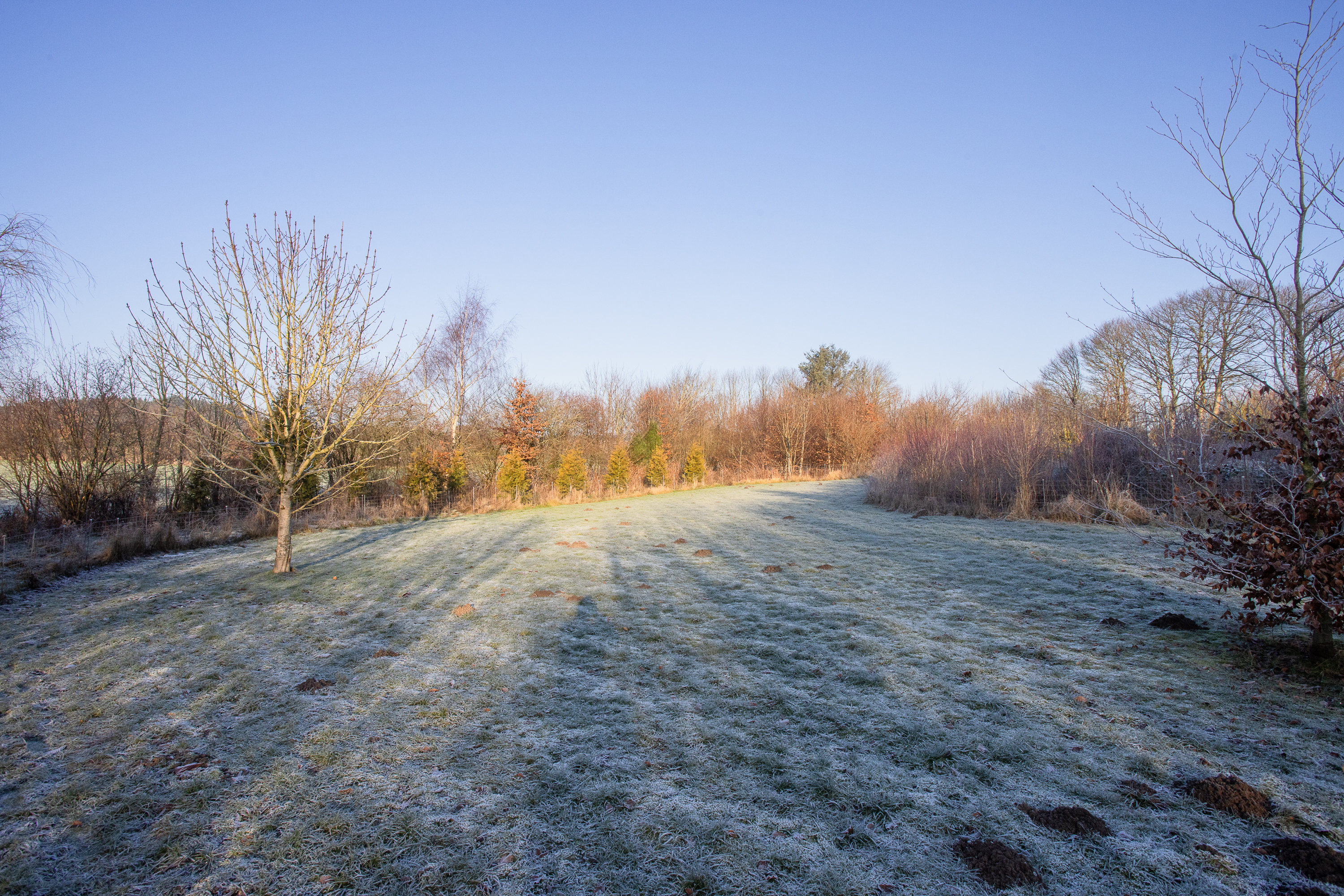 Fremhævet ejendommen billede i fuldskærmstilstand. Billede af Fuglsangvej 3, Vinding, 8654 Bryrup