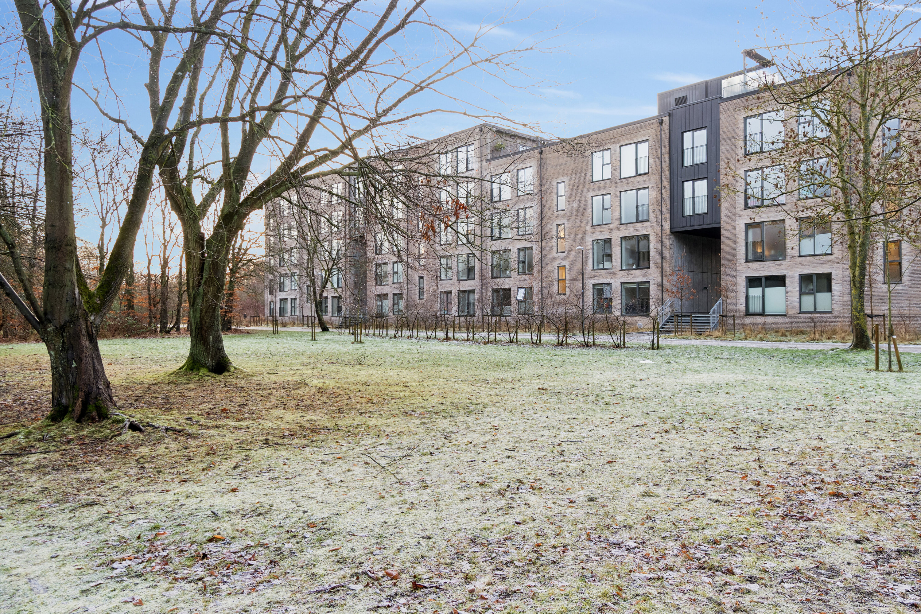 Ejerlejlighed: Gårdmiljø på Plantagevej 45, 2. tv., 2610 Rødovre