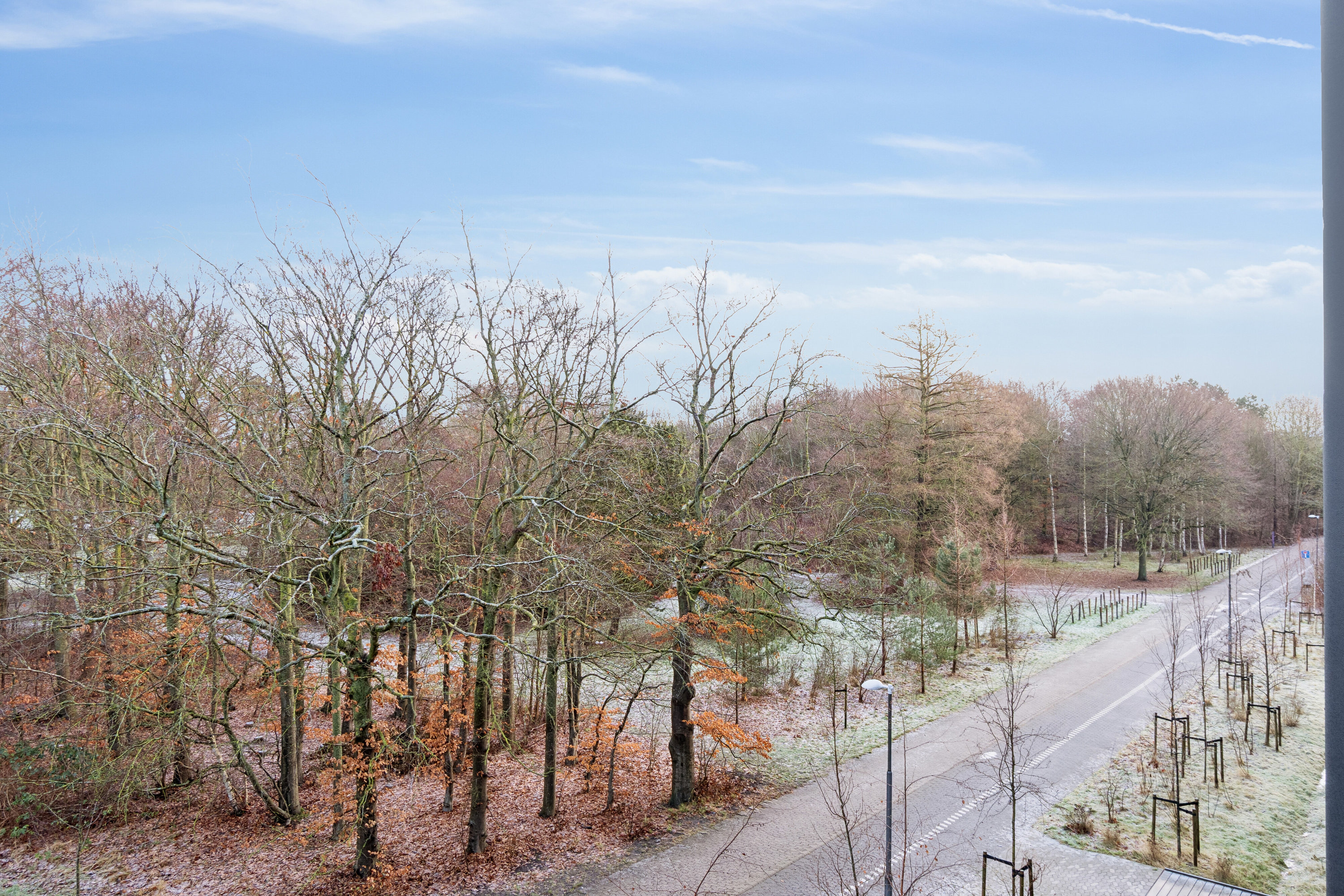Fremhævet udsigt billede i fuldskærmstilstand. Billede af Plantagevej 45, 2. tv., 2610 Rødovre
