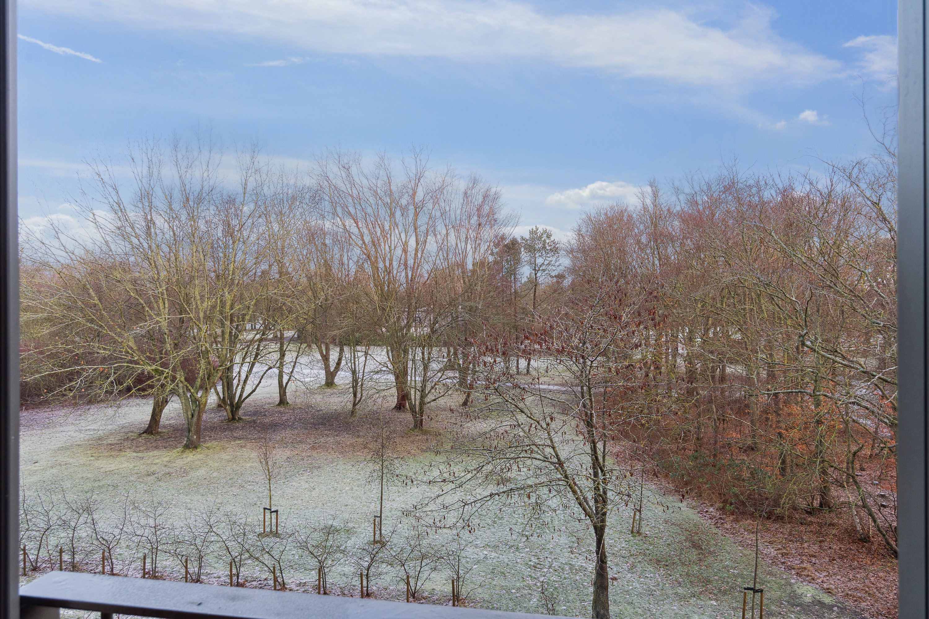 Fremhævet udsigt billede i fuldskærmstilstand. Billede af Plantagevej 45, 2. tv., 2610 Rødovre