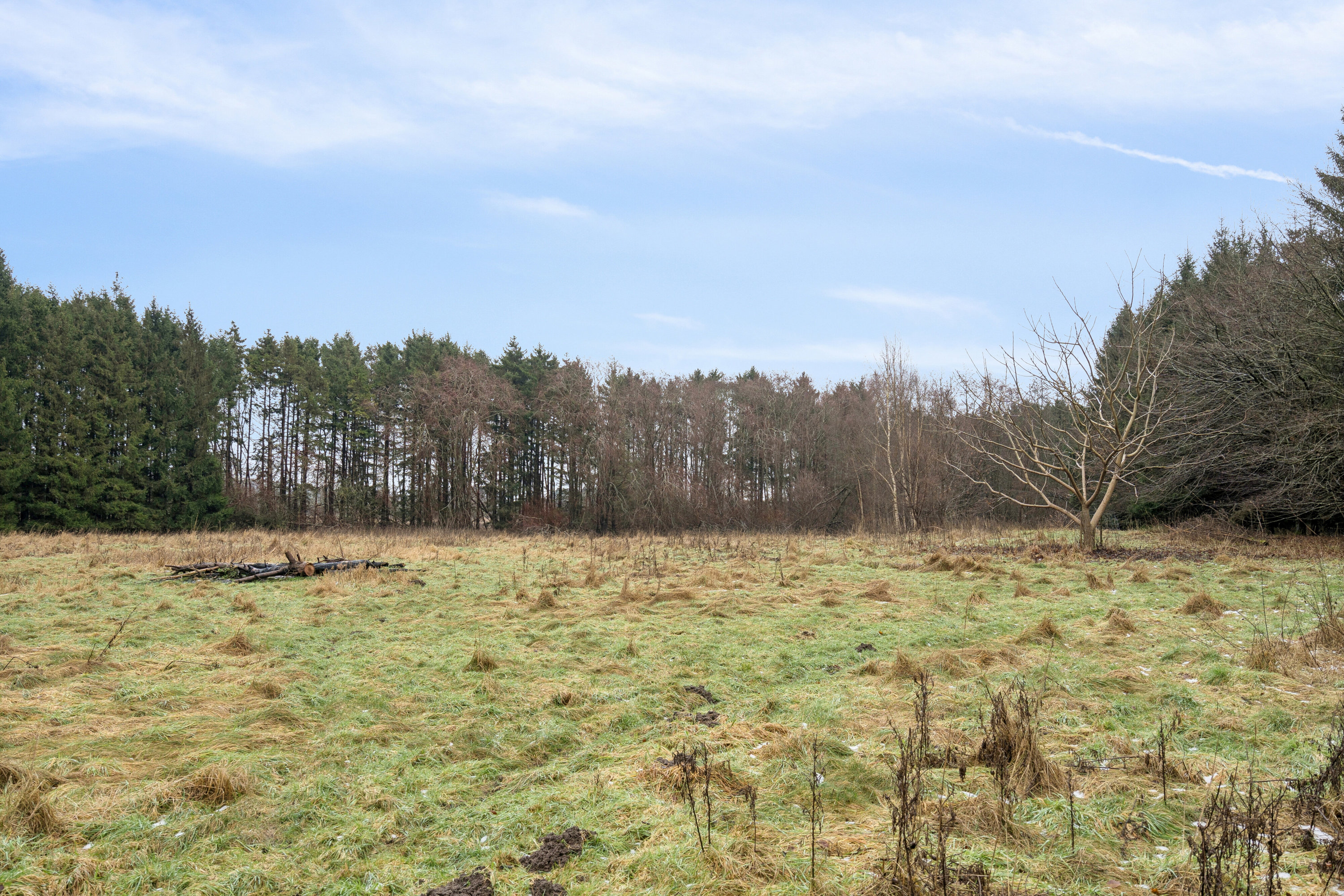 Fremhævet udendørs billede i fuldskærmstilstand. Billede af Torpe Mosevej 5, Torpe, 4160 Herlufmagle