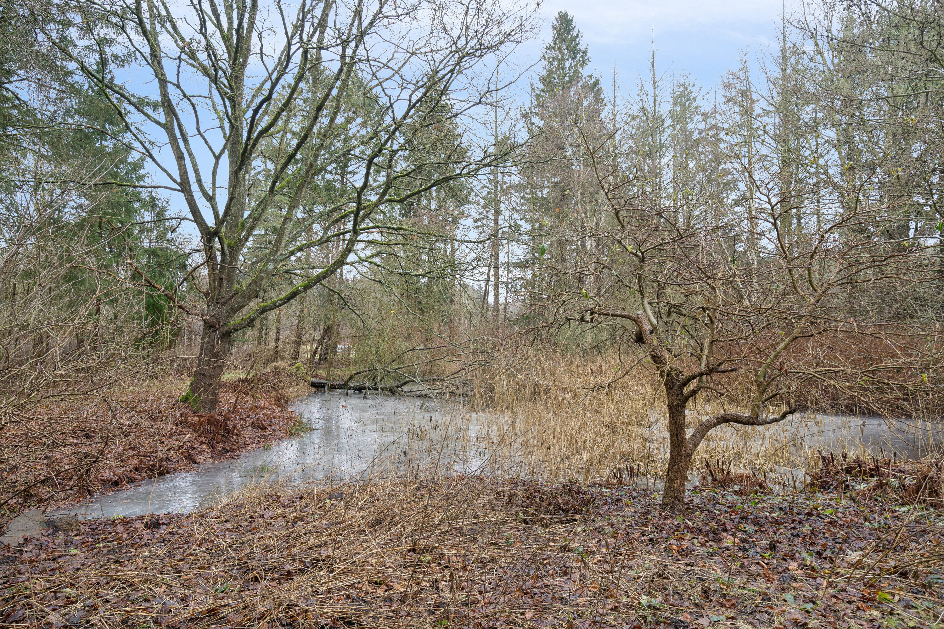 Fremhævet udendørs billede i fuldskærmstilstand. Billede af Torpe Mosevej 5, Torpe, 4160 Herlufmagle
