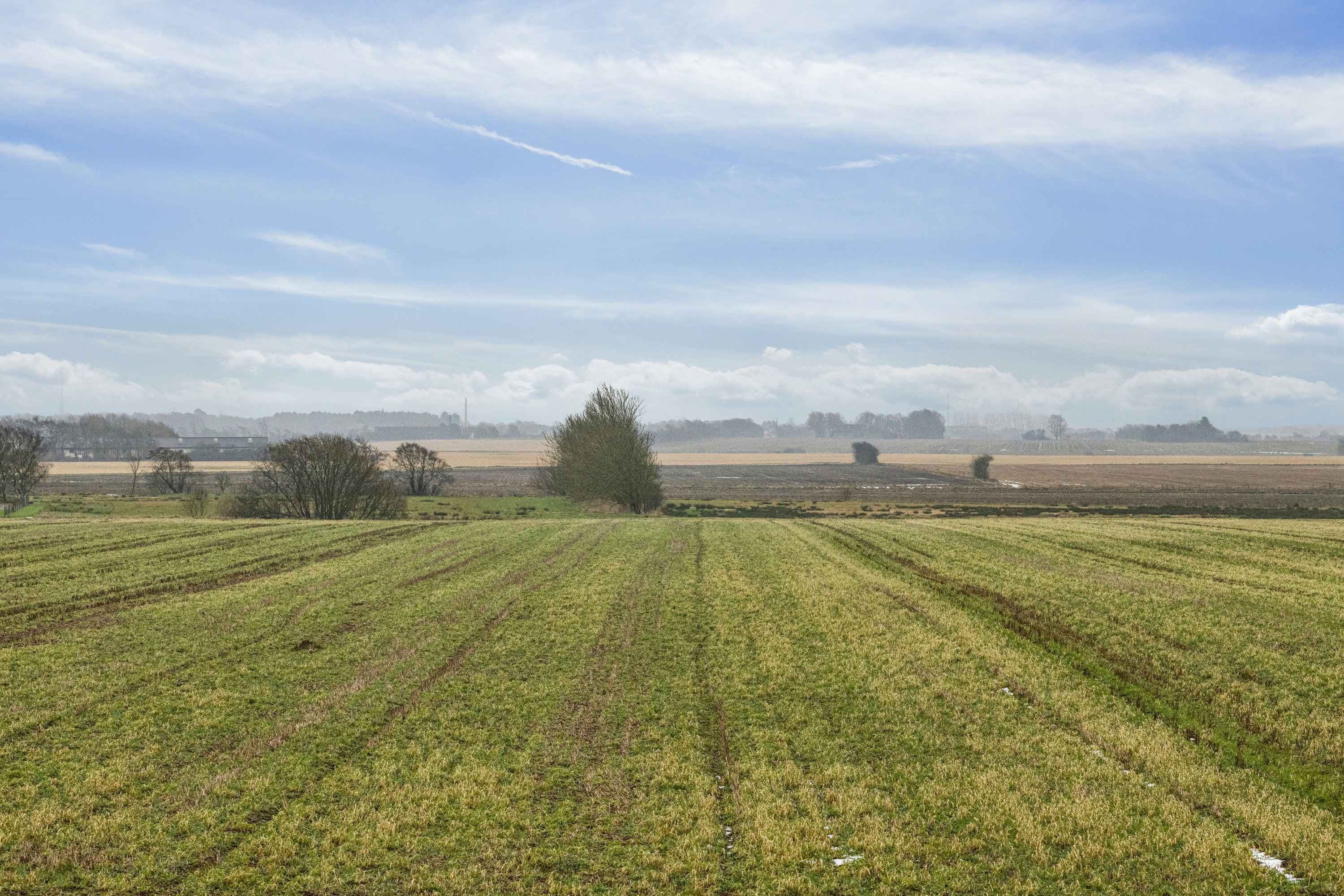 Fremhævet omgivelser billede i fuldskærmstilstand. Billede af Roagervej 406, Ø Åbølling, 6760 Ribe