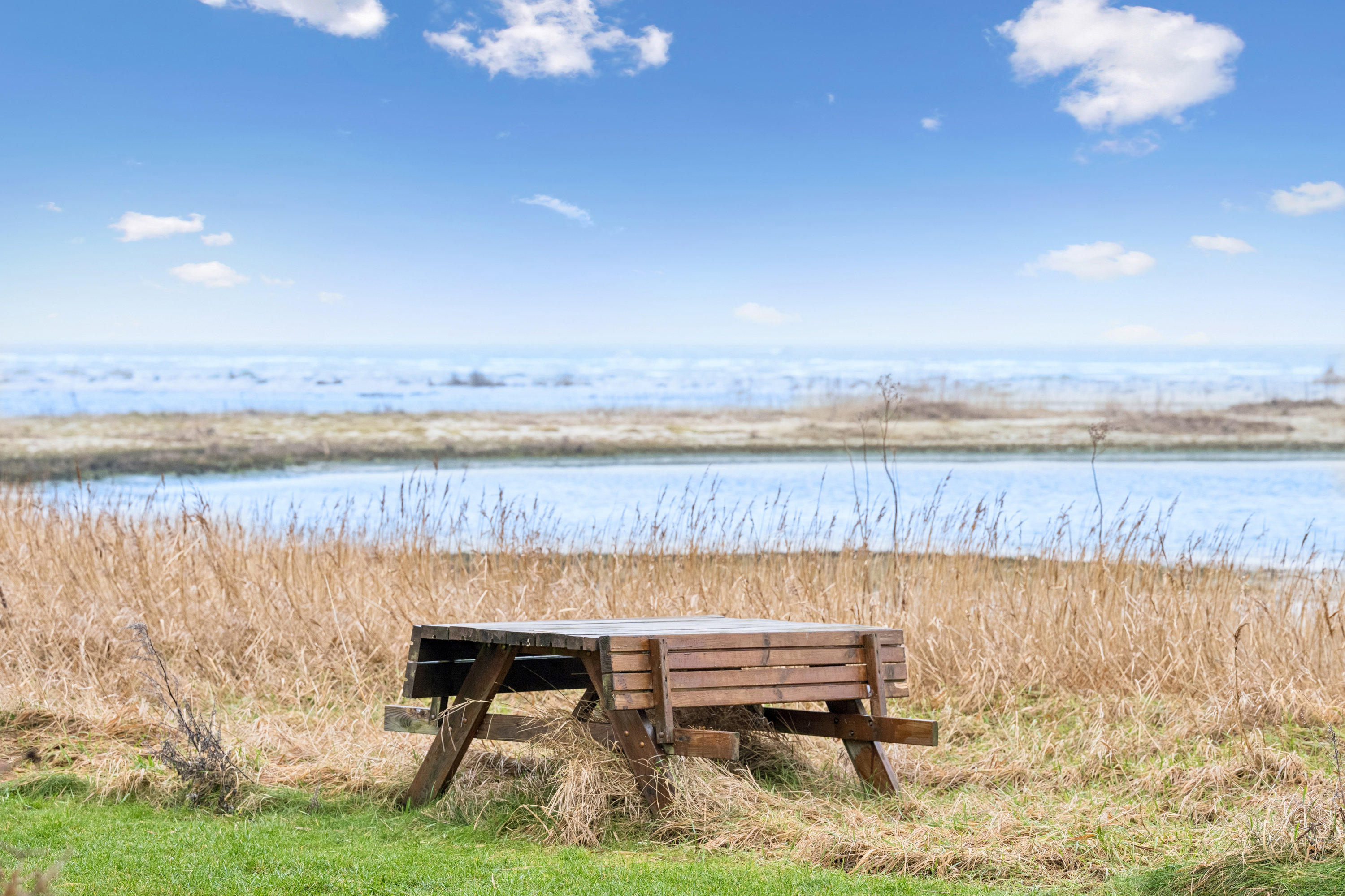 Fremhævet område billede i fuldskærmstilstand. Billede af Skødshovedgård 39, Skødshoved Strand, 8420 Knebel
