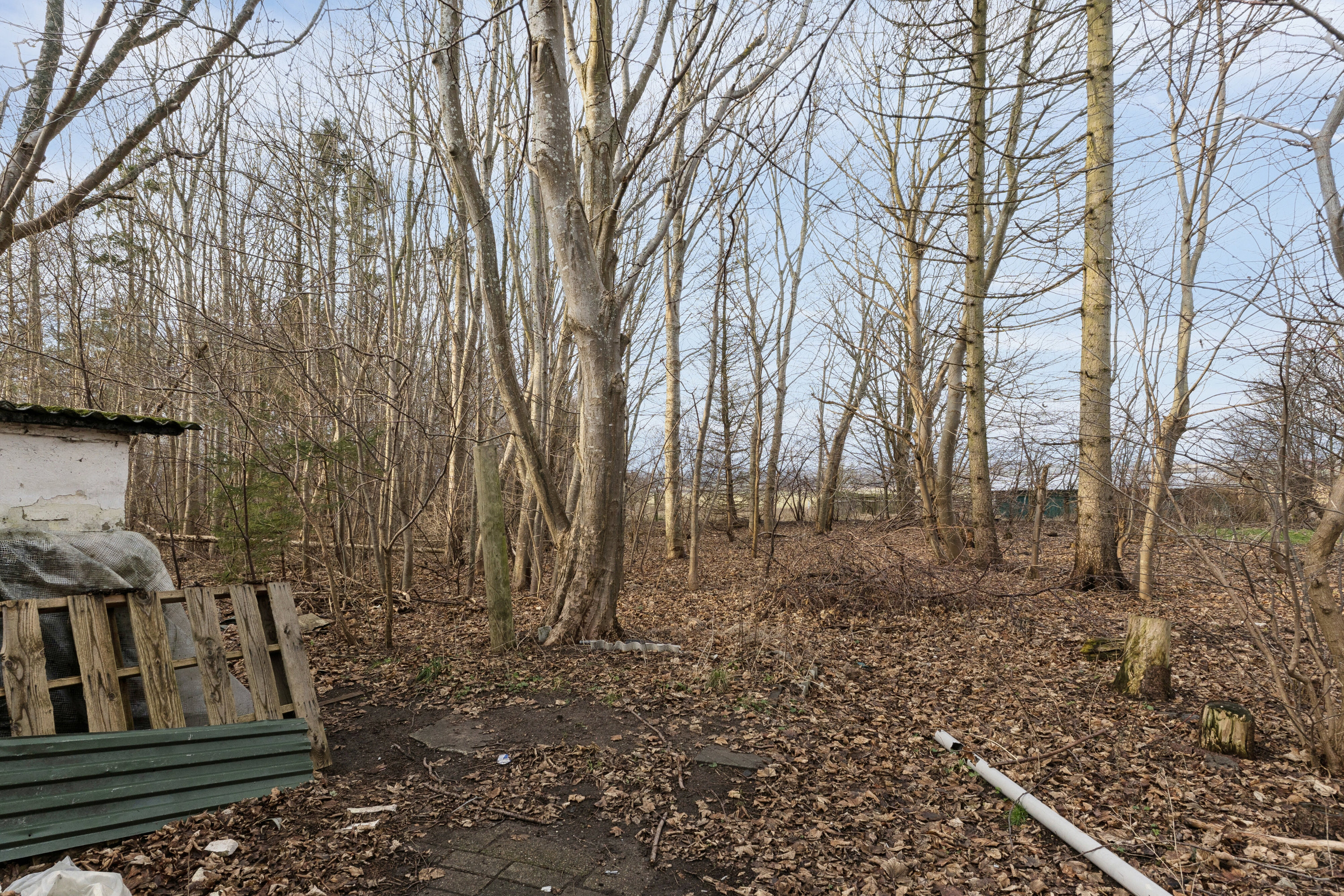 Fremhævet set fra haven billede i fuldskærmstilstand. Billede af Rådhusvej 26, 4550 Asnæs