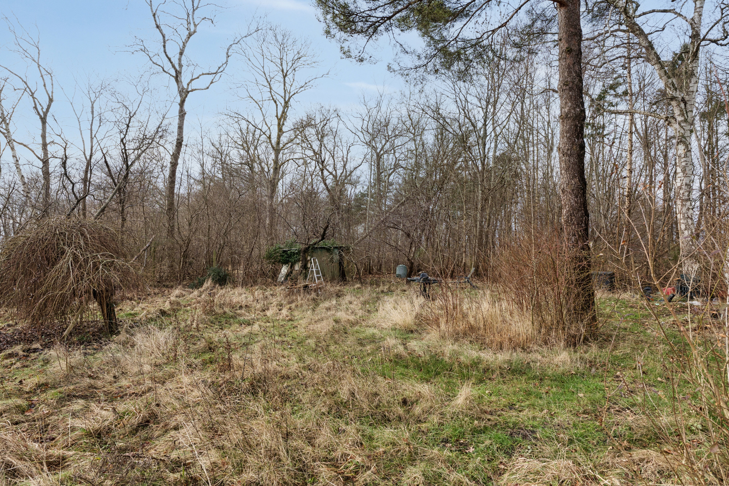 Fremhævet set fra haven billede i fuldskærmstilstand. Billede af Rådhusvej 26, 4550 Asnæs