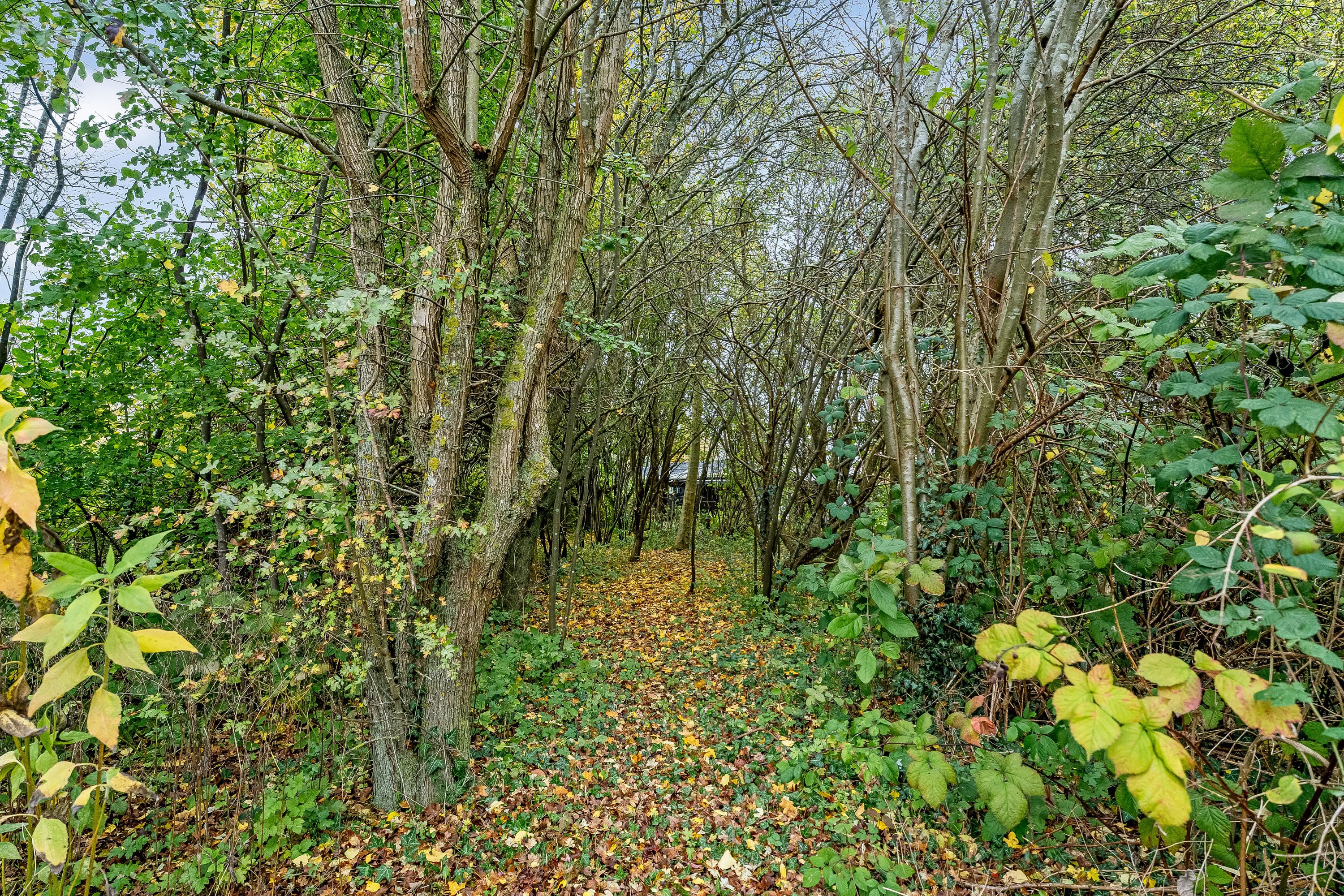 Askø Strandvig 238, 4942 Askø