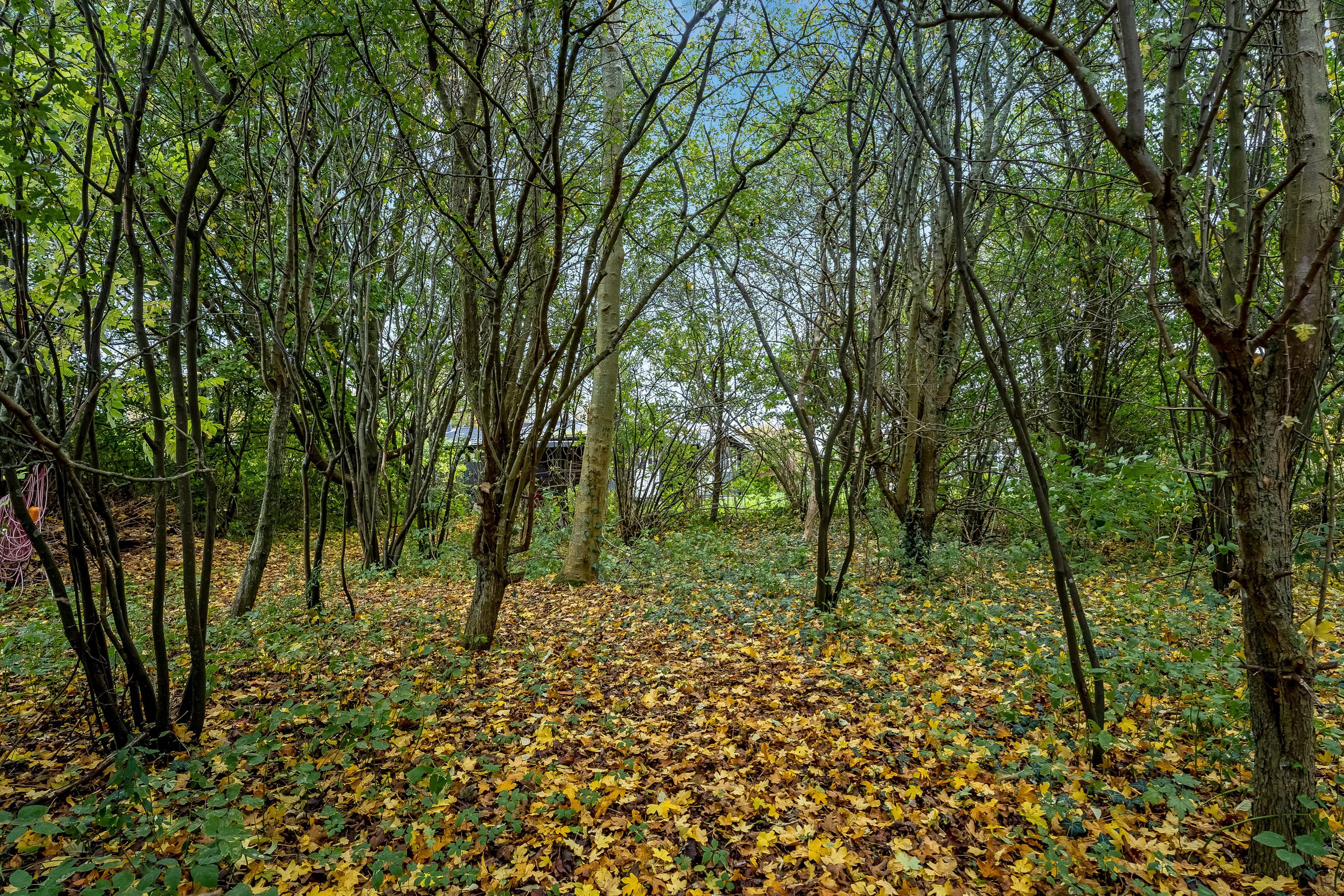 Askø Strandvig 238, 4942 Askø