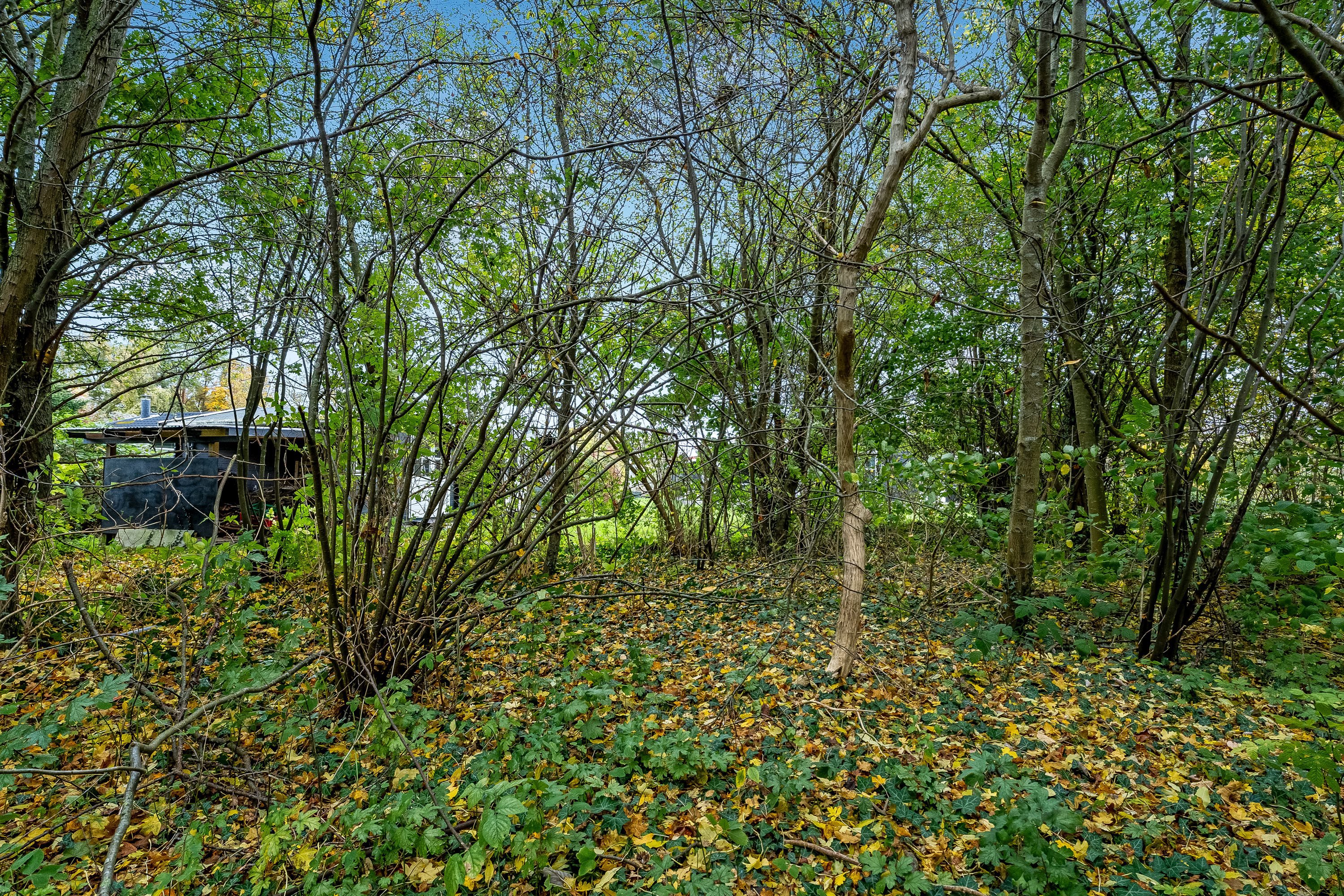 Fremhævet  billede i fuldskærmstilstand. Billede af Askø Strandvig 238, 4942 Askø