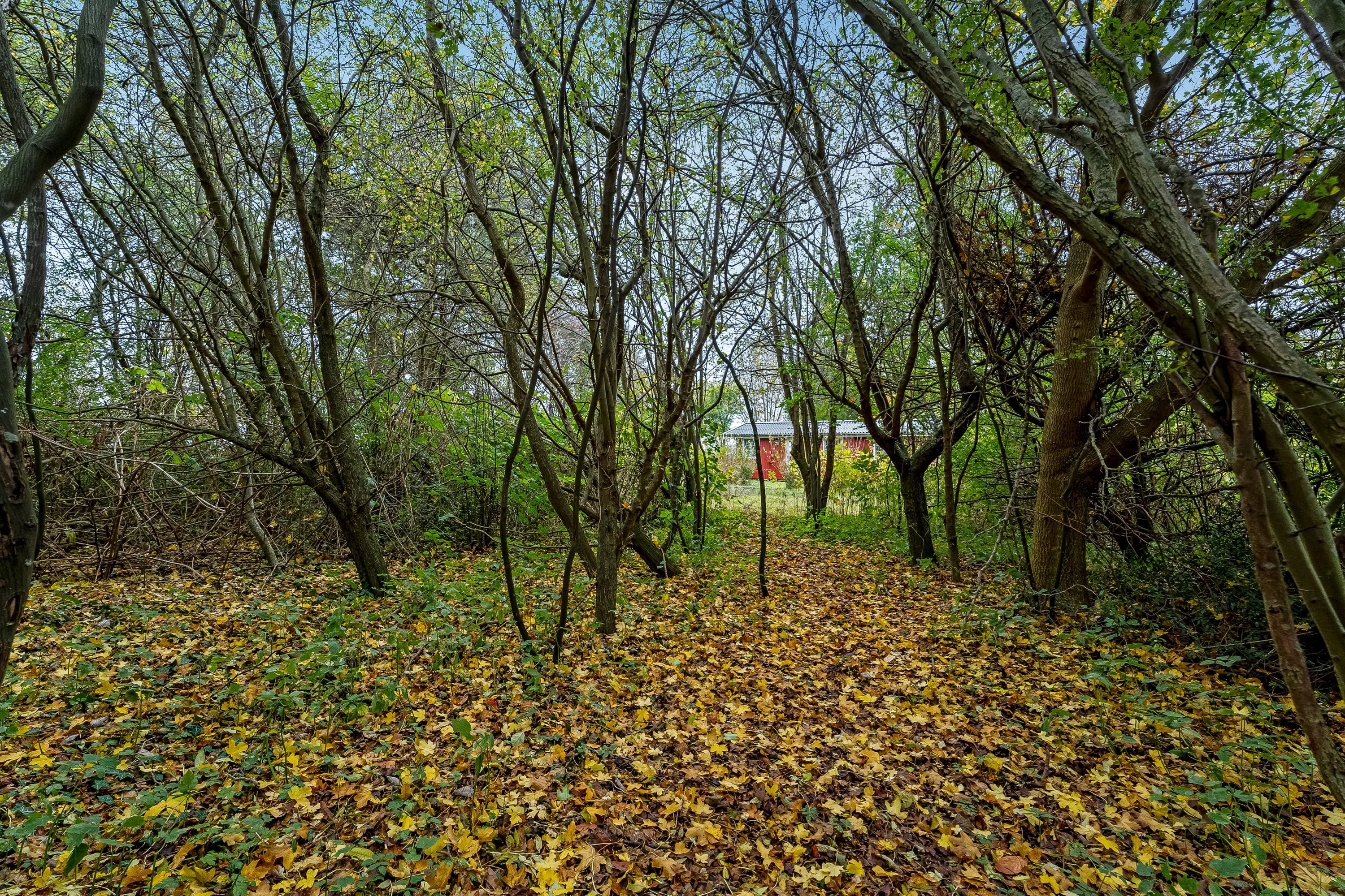 Fremhævet  billede i fuldskærmstilstand. Billede af Askø Strandvig 238, 4942 Askø