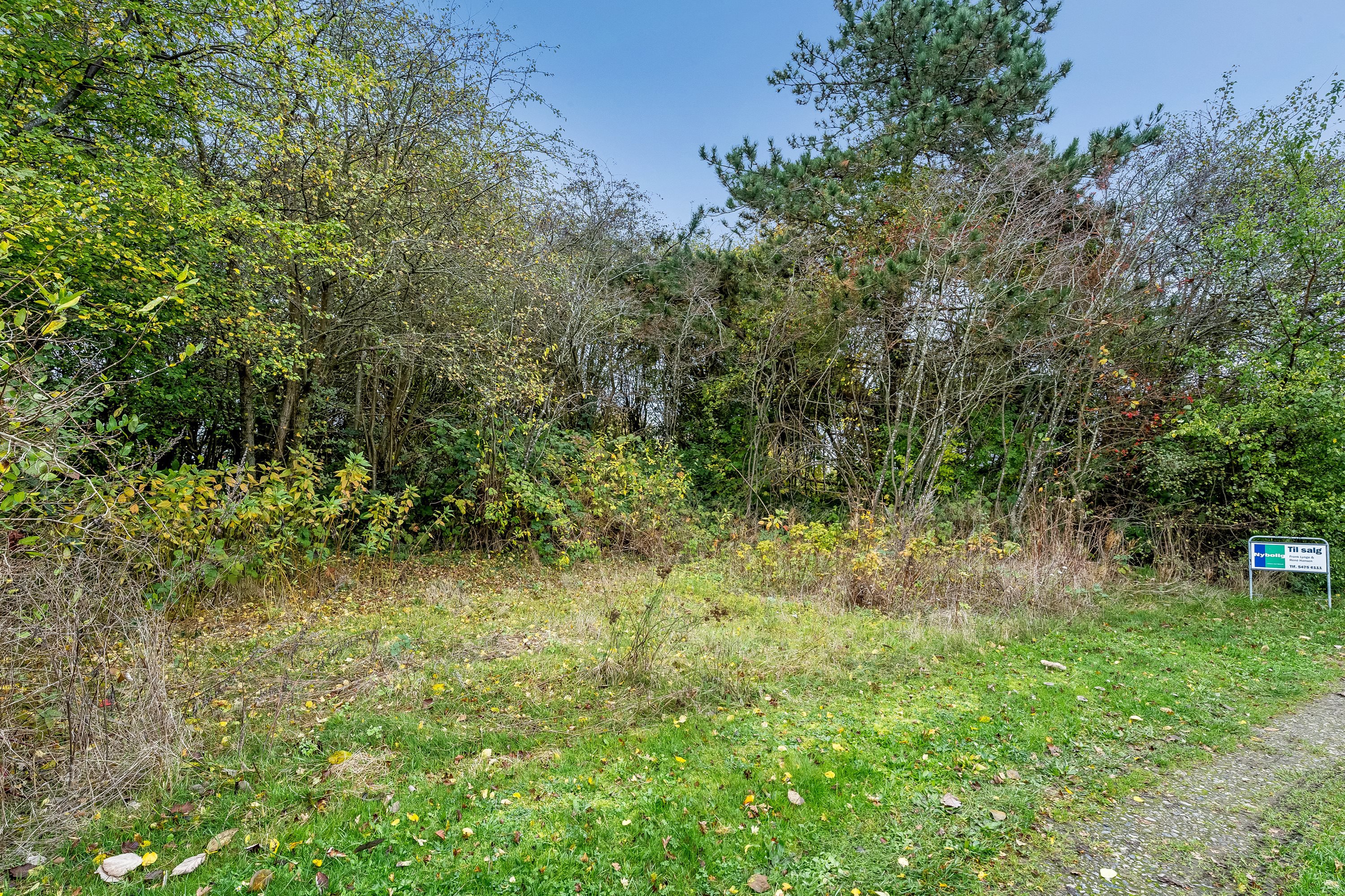 Fremhævet  billede i fuldskærmstilstand. Billede af Askø Strandvig 238, 4942 Askø