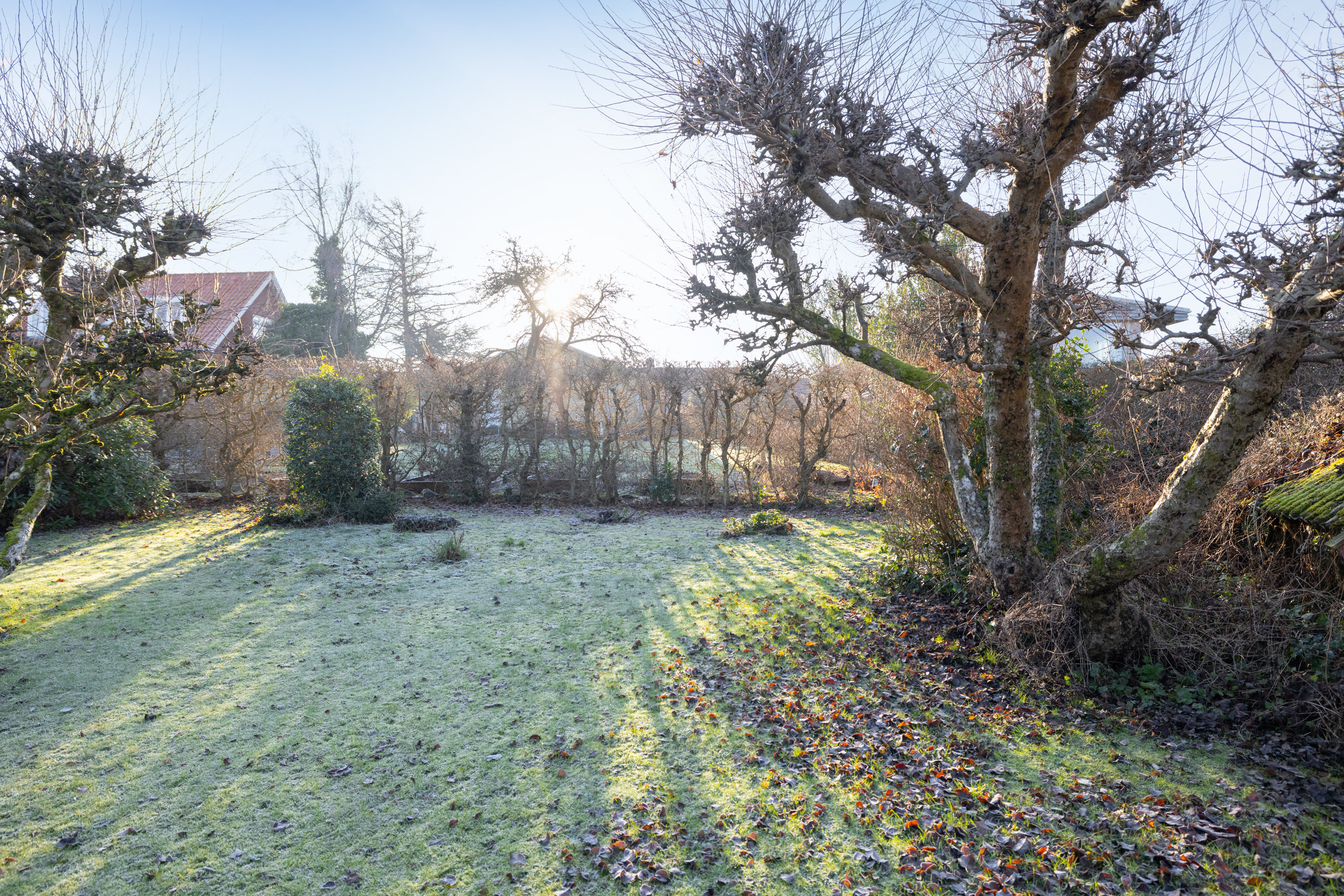 Fremhævet have billede i fuldskærmstilstand. Billede af Neptunvej 31, 8270 Højbjerg