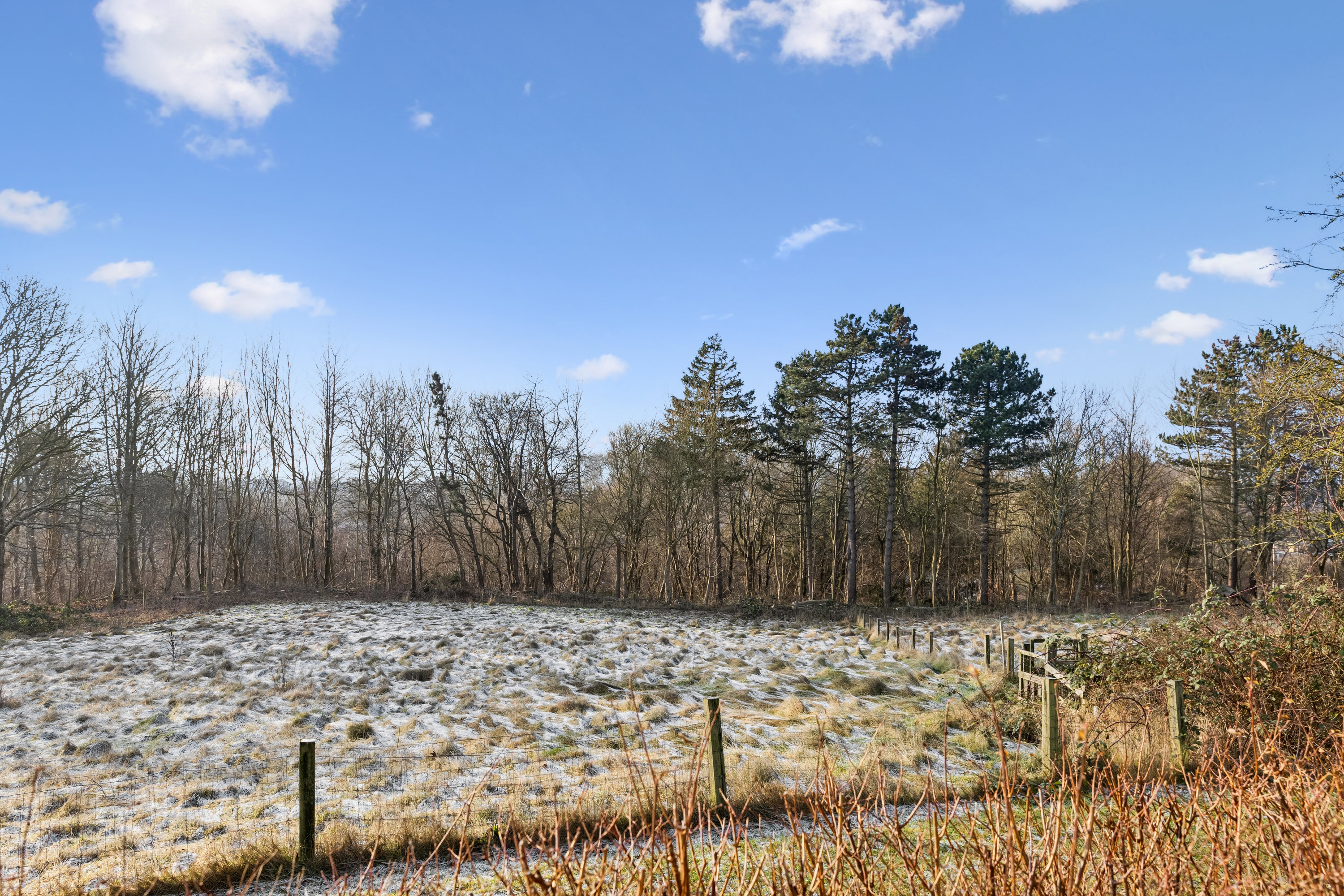 Fremhævet have billede i fuldskærmstilstand. Billede af Ved Grotten 12, 5610 Assens